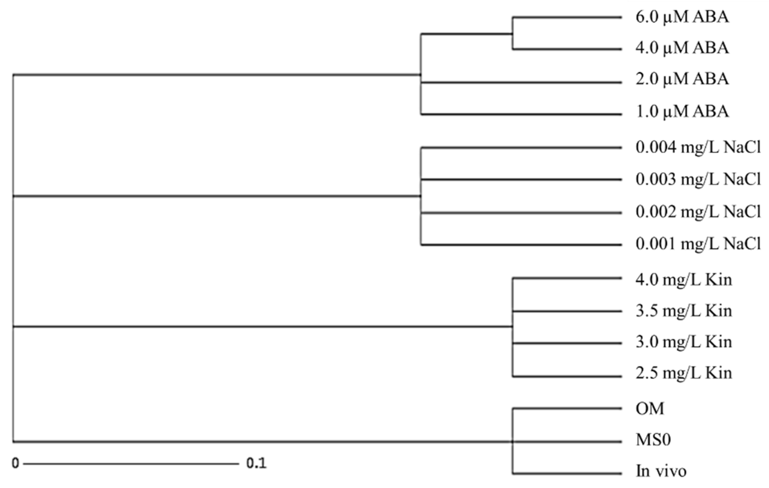 Horticulturae 08 00153 g005