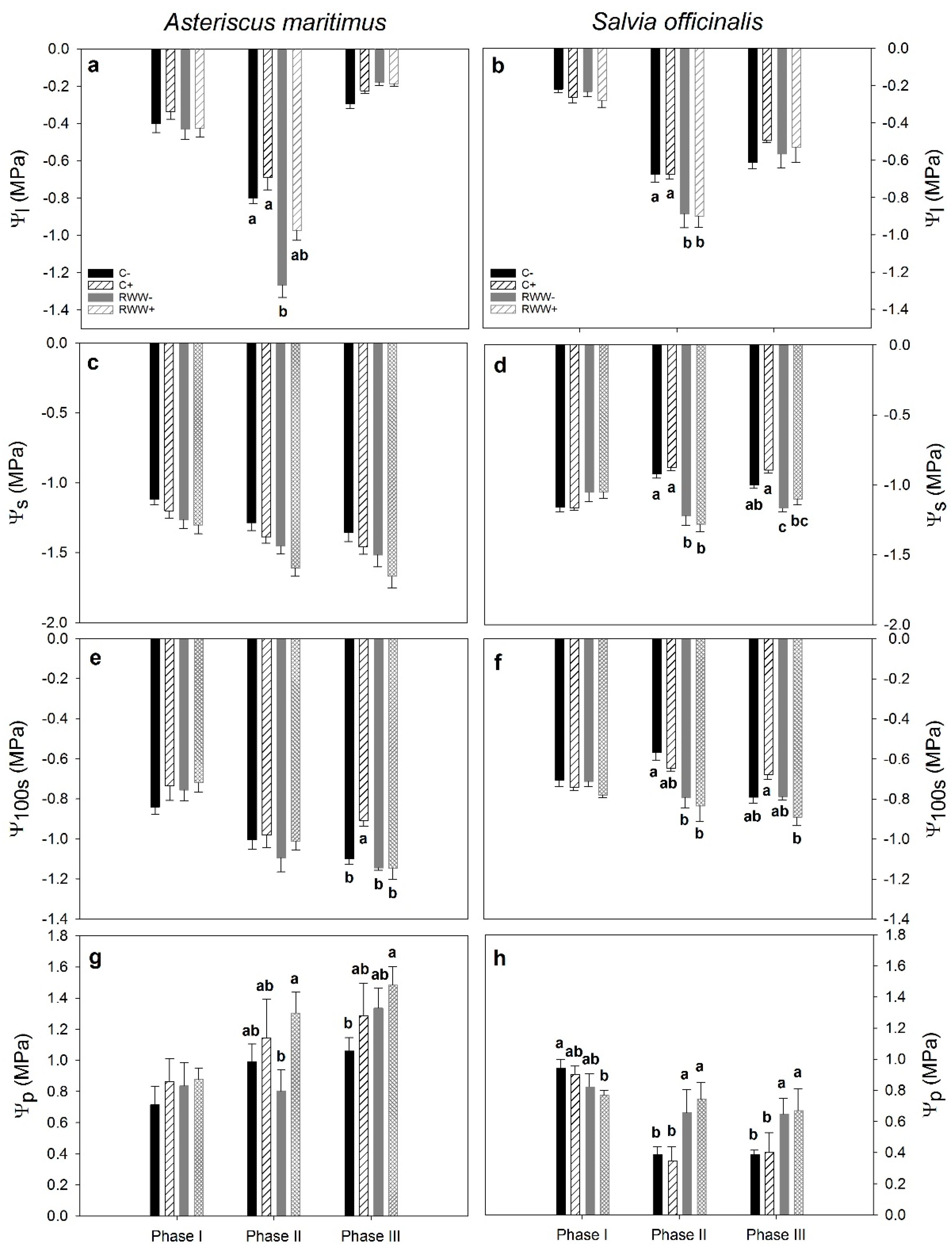 Horticulturae 08 00159 g002