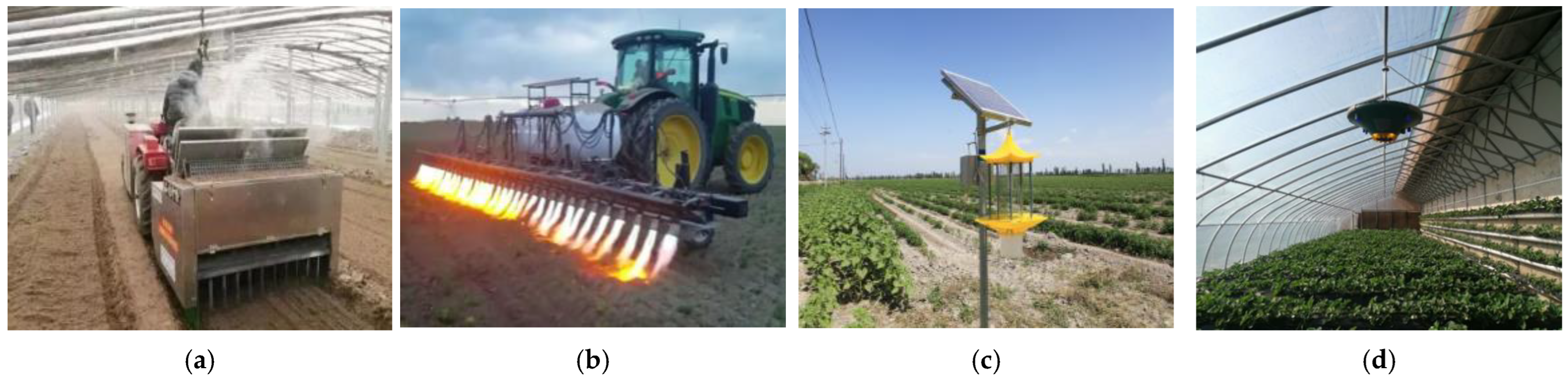 Horticulturae 08 00166 g006 Horticulturae 08 00166 g006