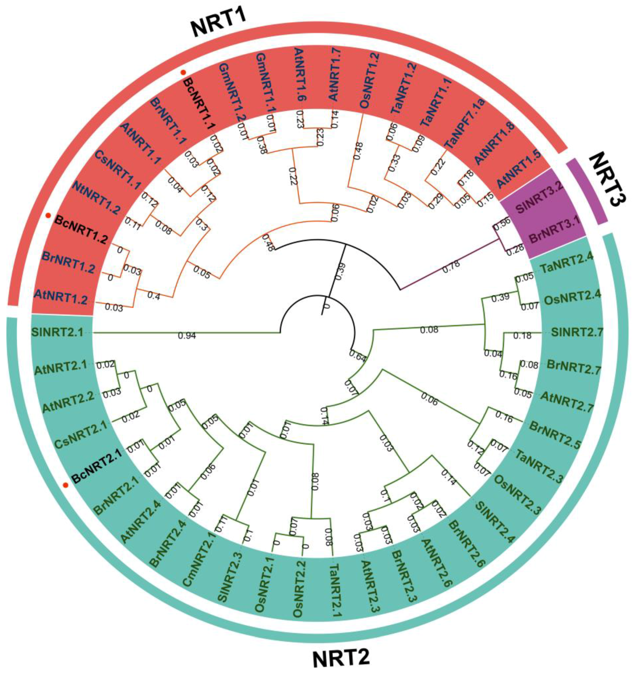 Horticulturae 08 00188 g001