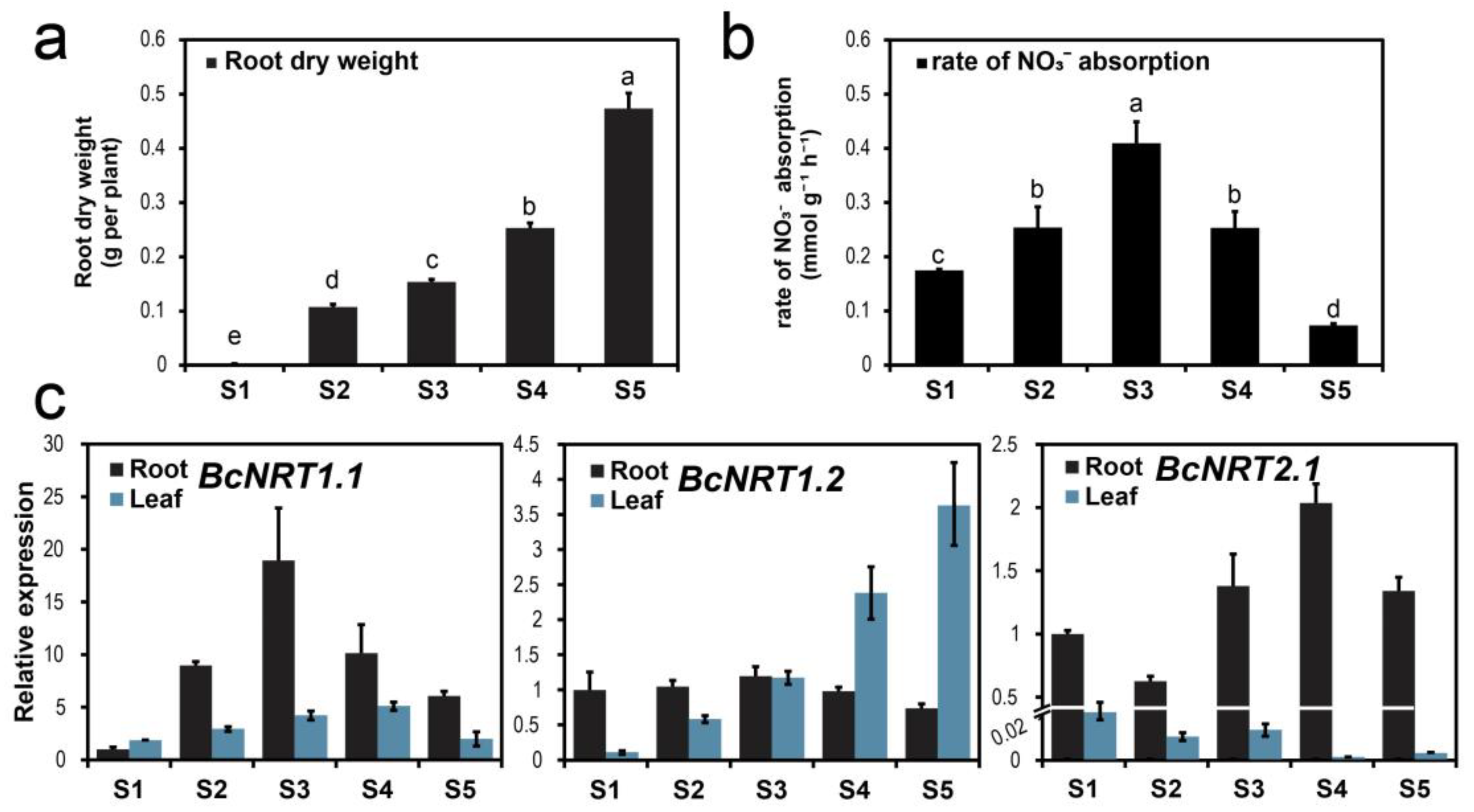 Horticulturae 08 00188 g002