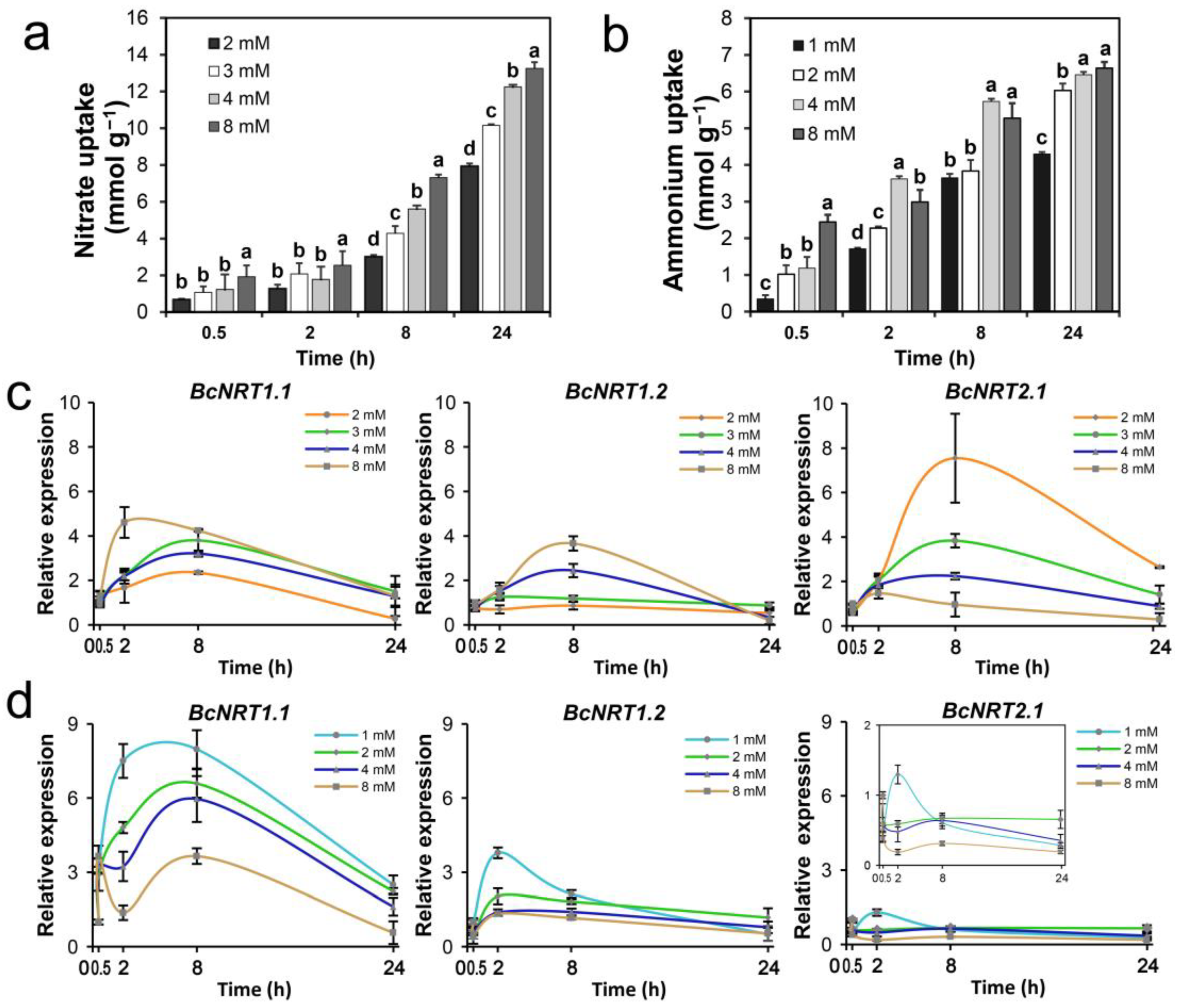 Horticulturae 08 00188 g003