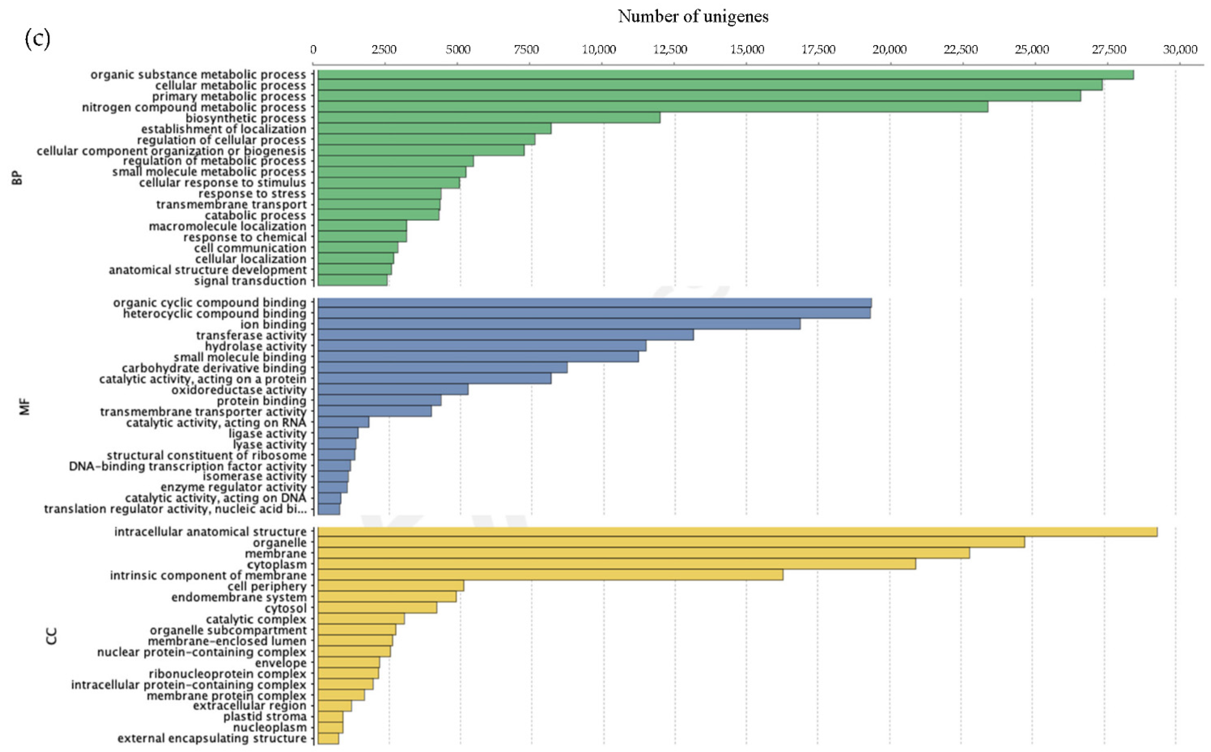 Horticulturae 08 00224 g008b