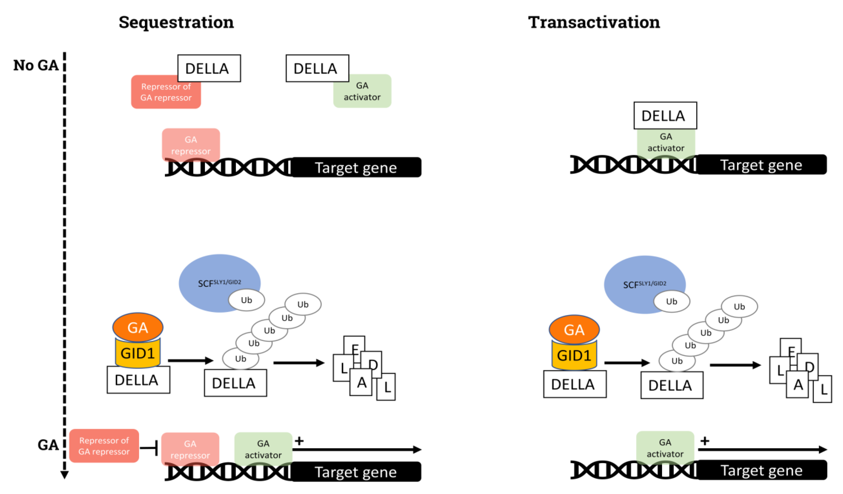 Horticulturae 08 00241 g001