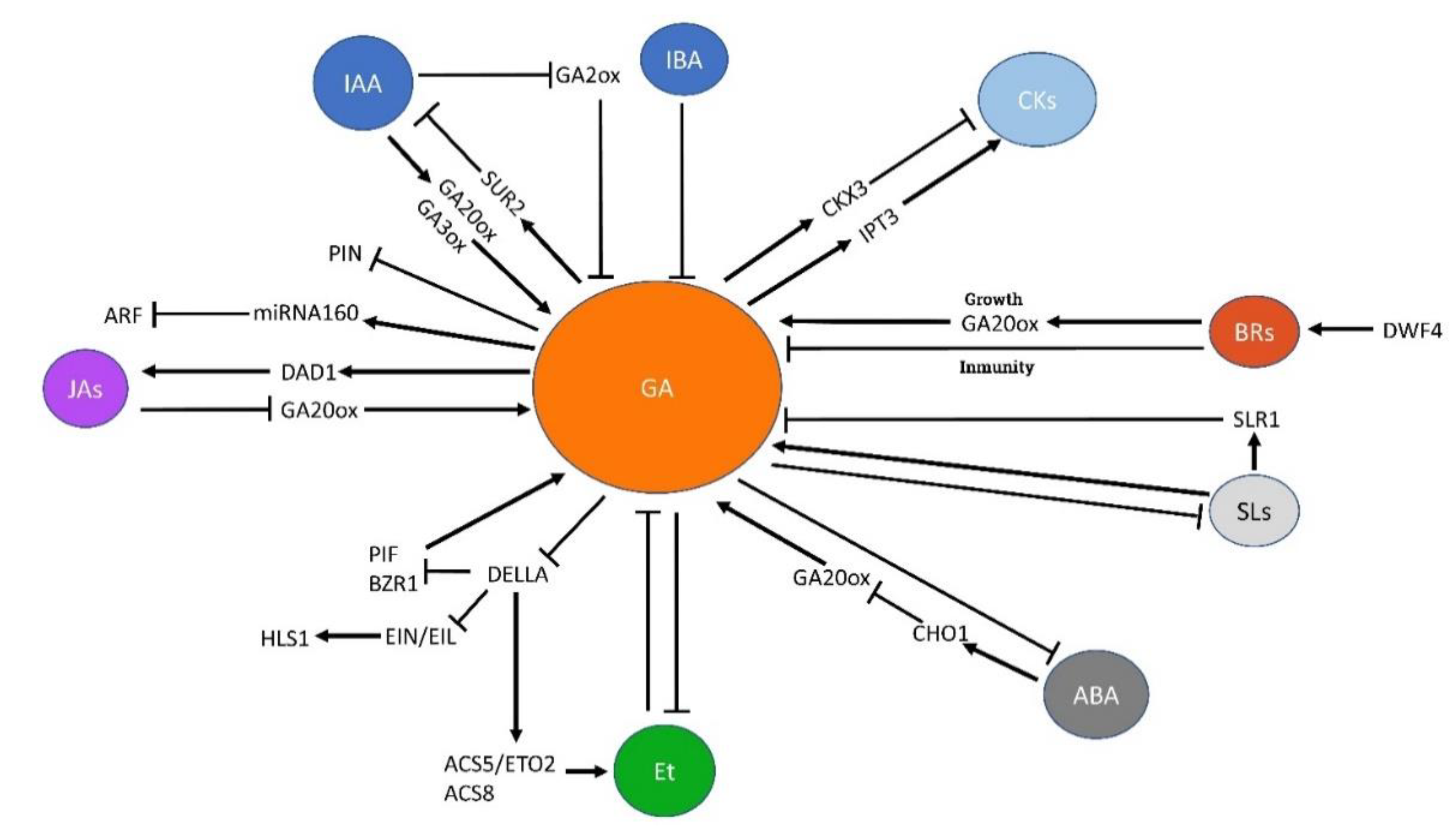 Horticulturae 08 00241 g002