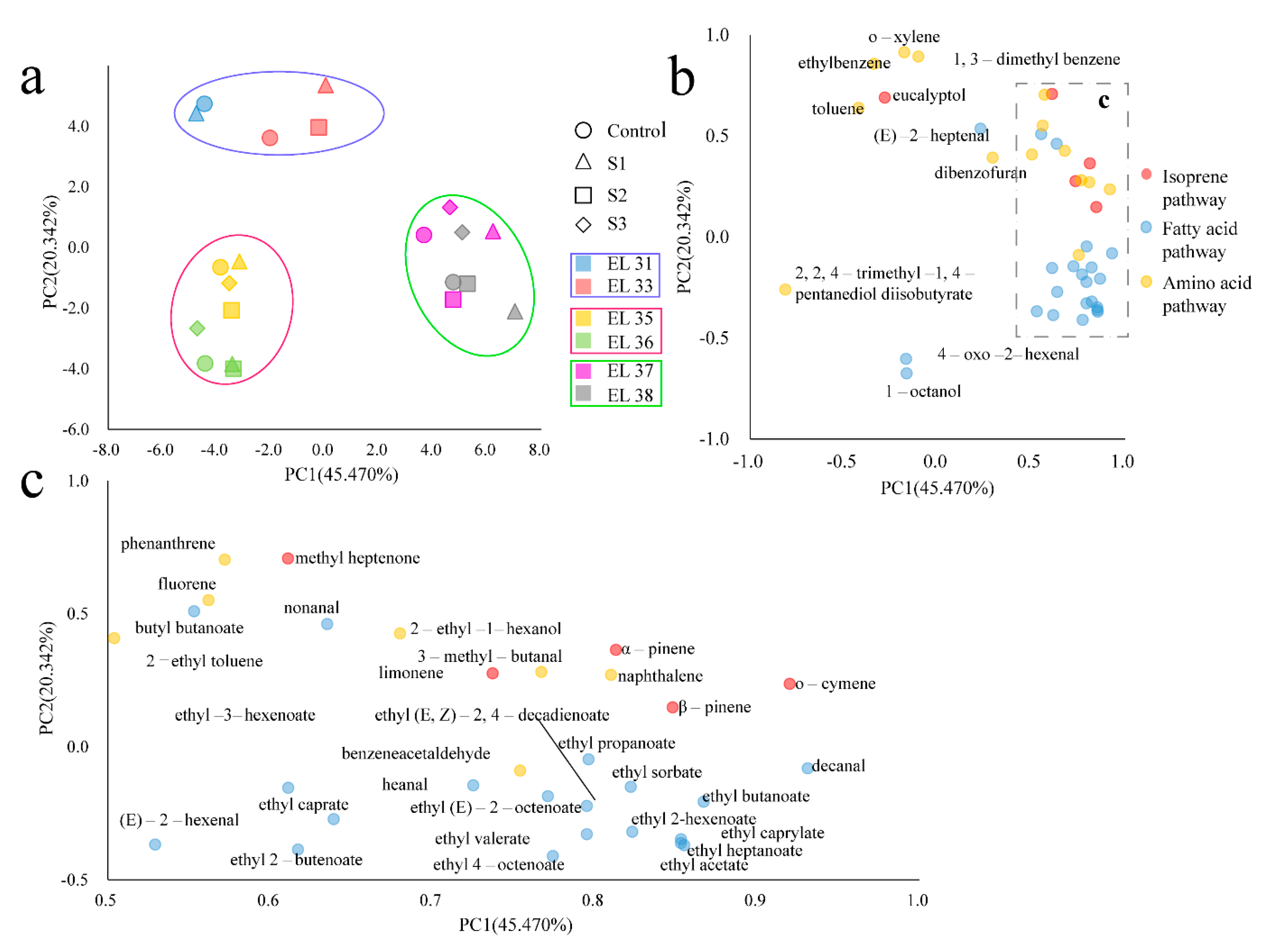 Horticulturae 08 00248 g005