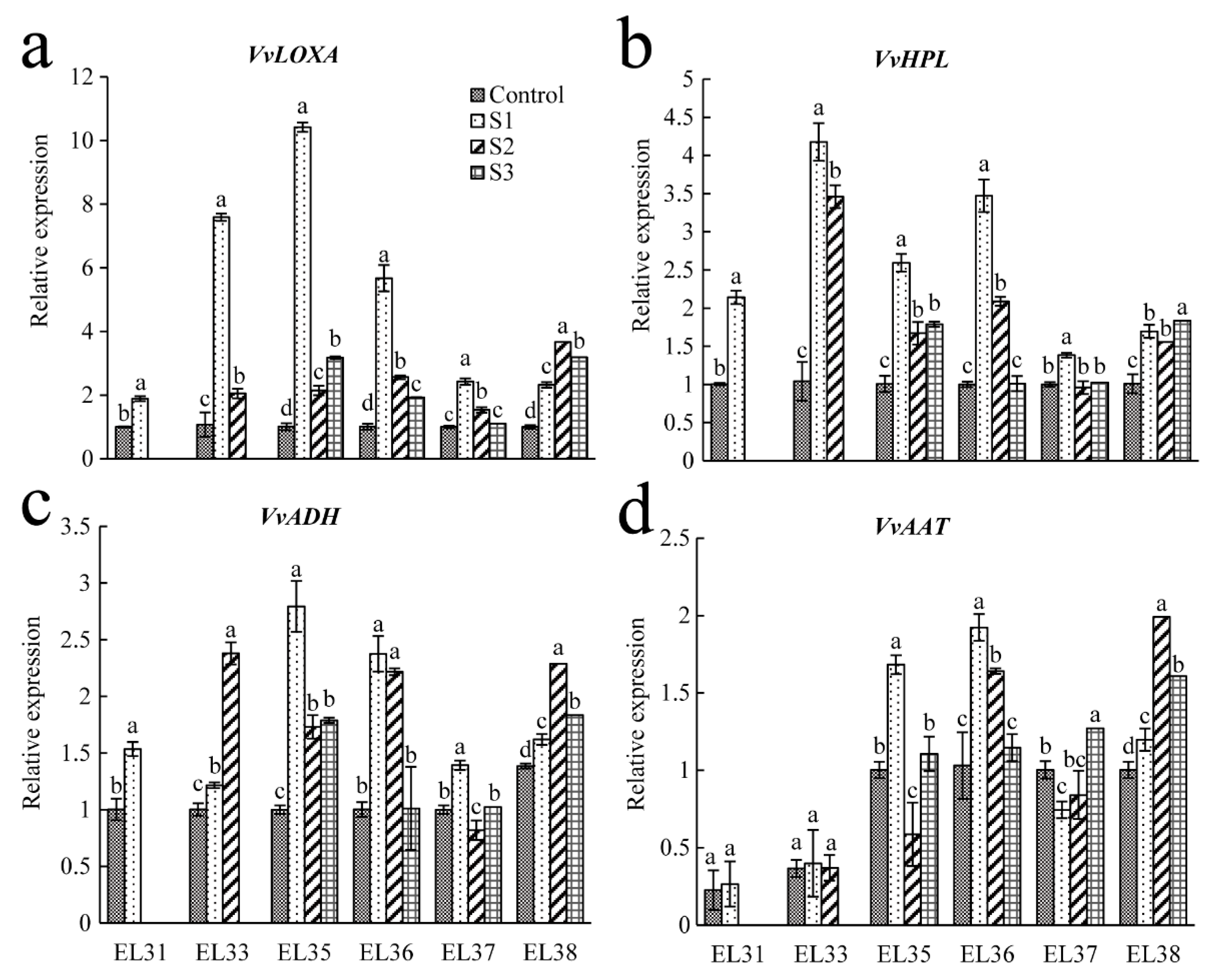 Horticulturae 08 00248 g006