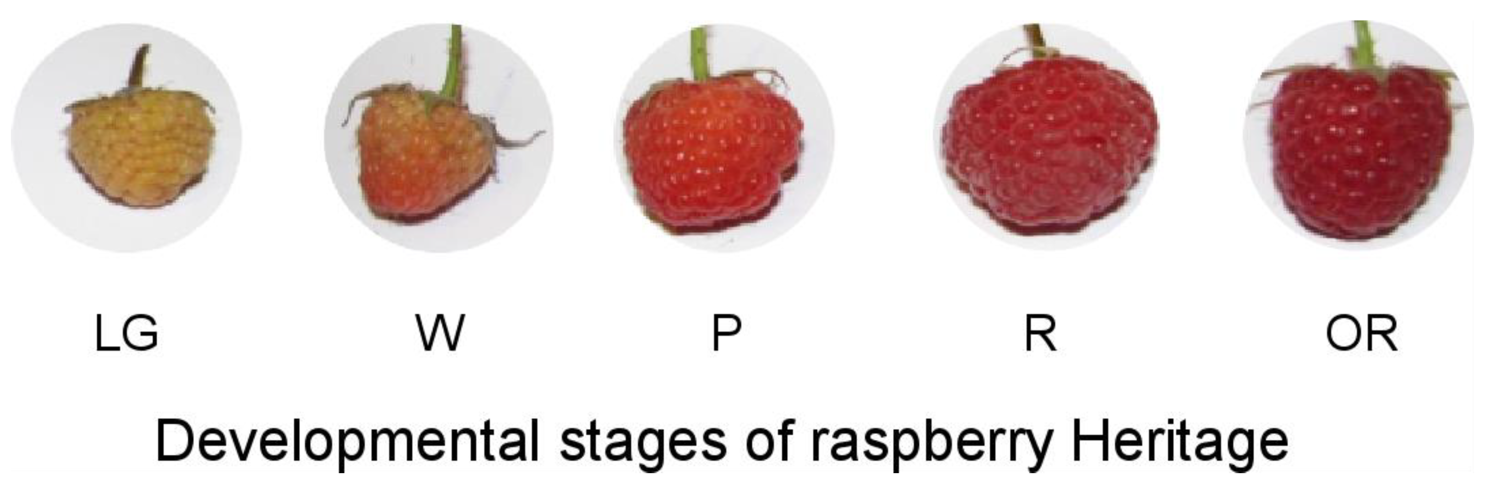 Horticulturae 08 00262 g001