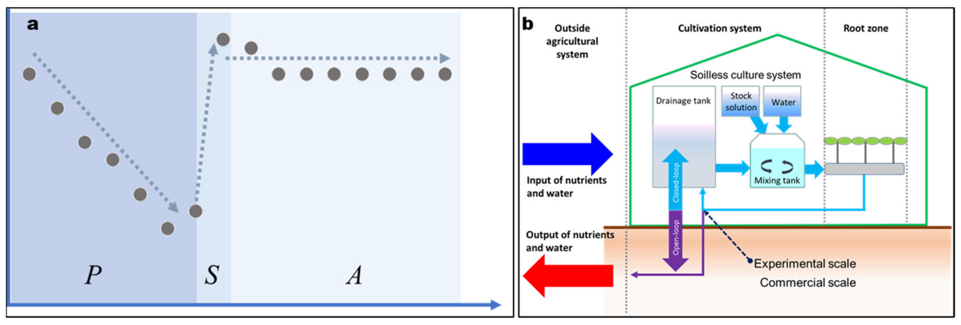 Horticulturae 08 00295 g002