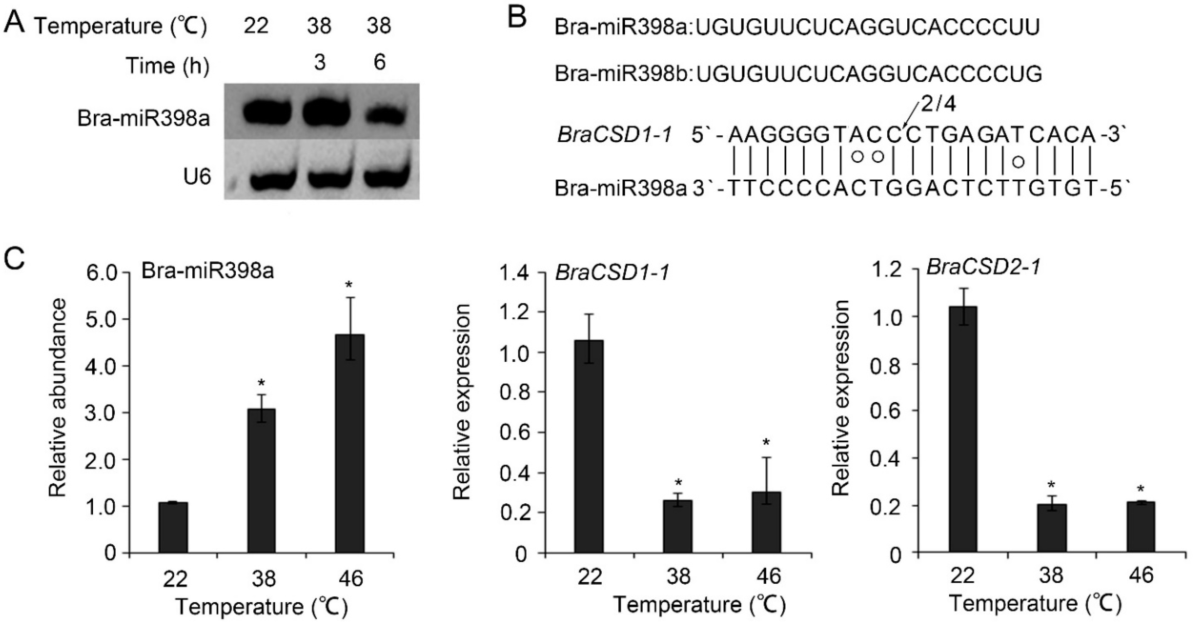 Horticulturae 08 00299 g002 Horticulturae 08 00299 g002