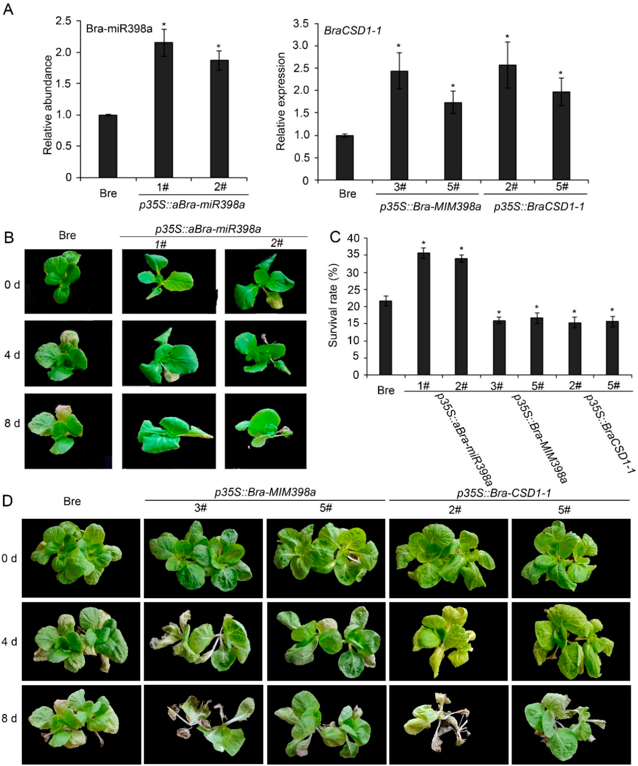 Horticulturae 08 00299 g003 Horticulturae 08 00299 g003