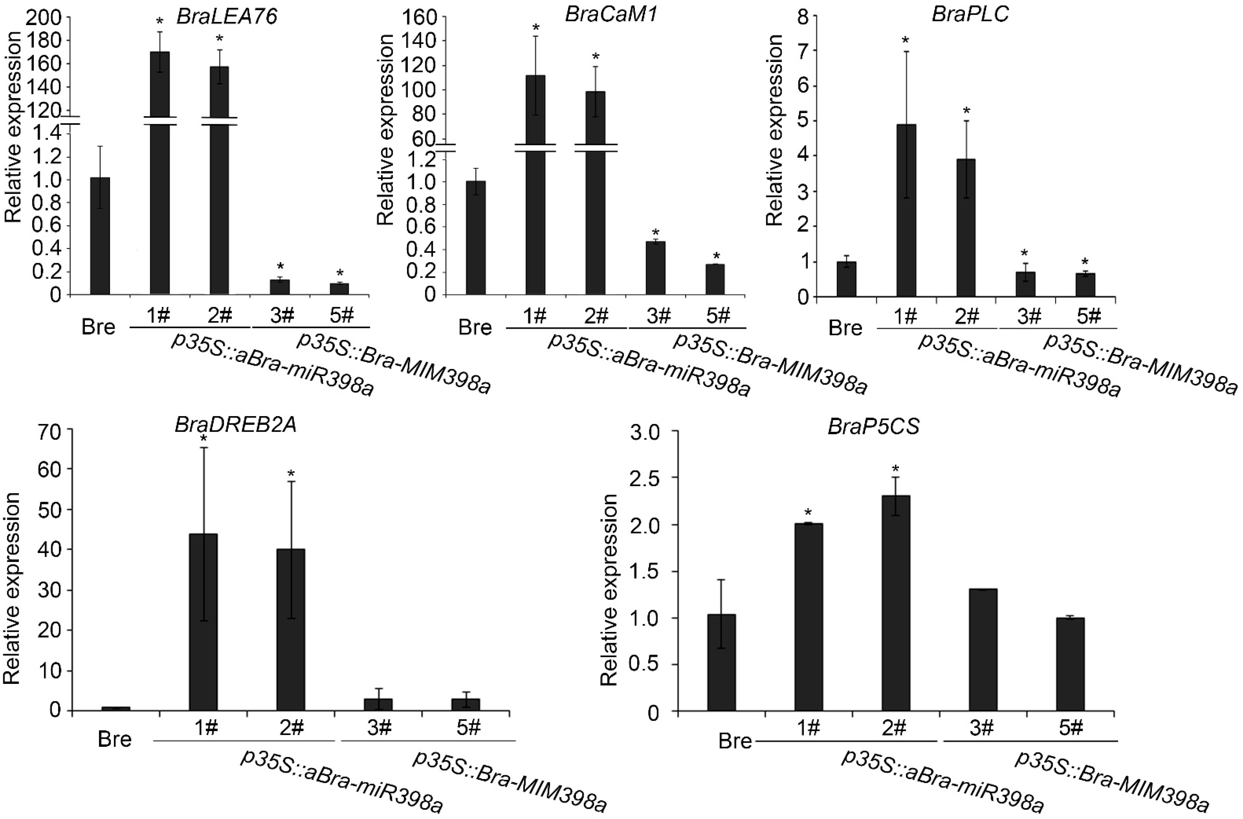 Horticulturae 08 00299 g006 Horticulturae 08 00299 g006