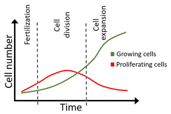 Horticulturae 08 00306 g0a1 550