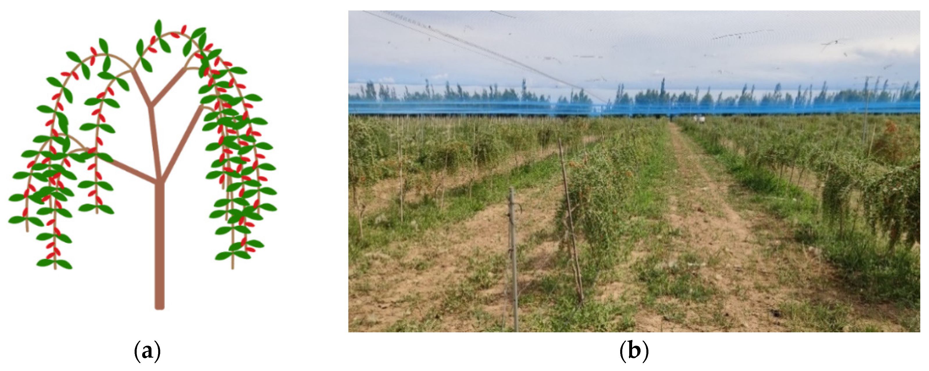 Horticulturae 08 00308 g001