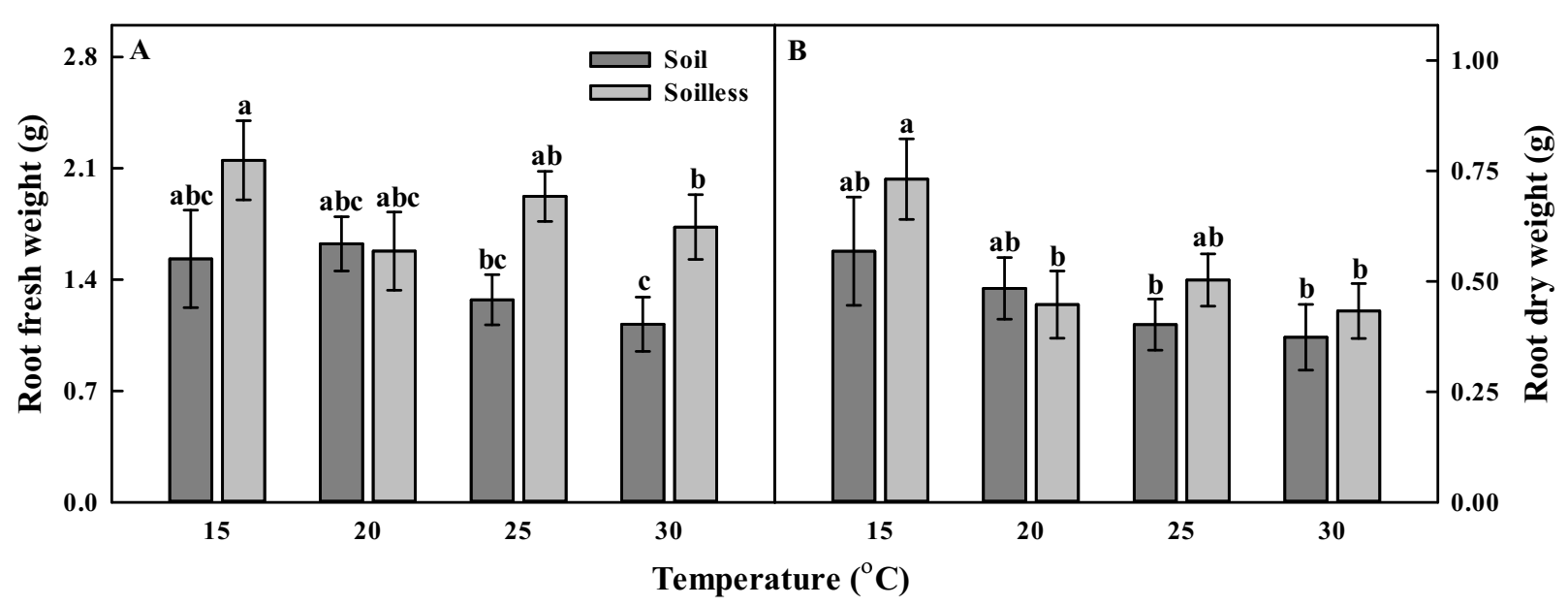 Horticulturae 08 00315 g002