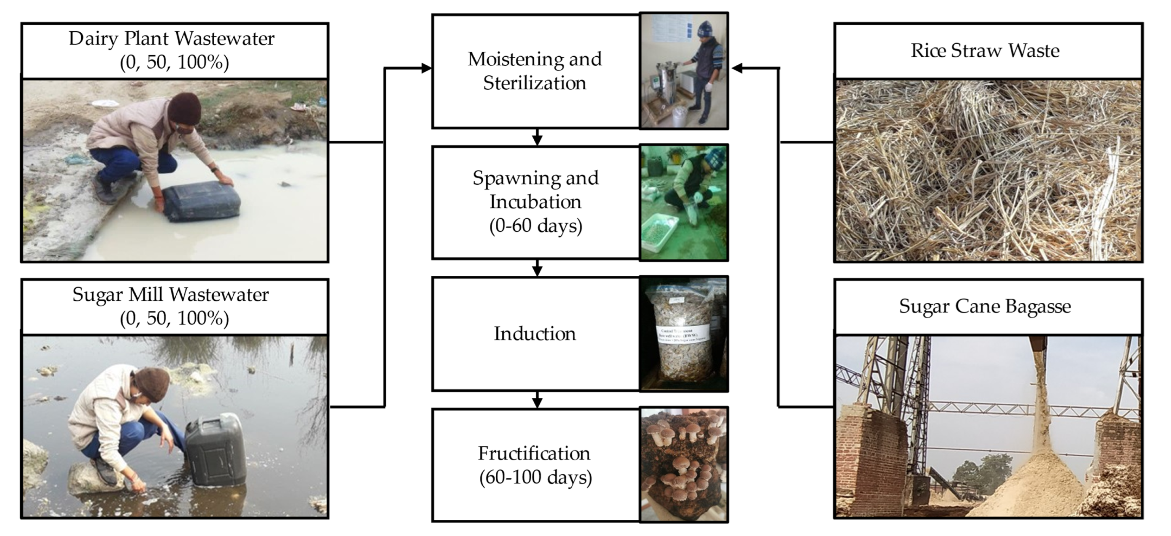 Horticulturae 08 00316 g001 Horticulturae 08 00316 g001