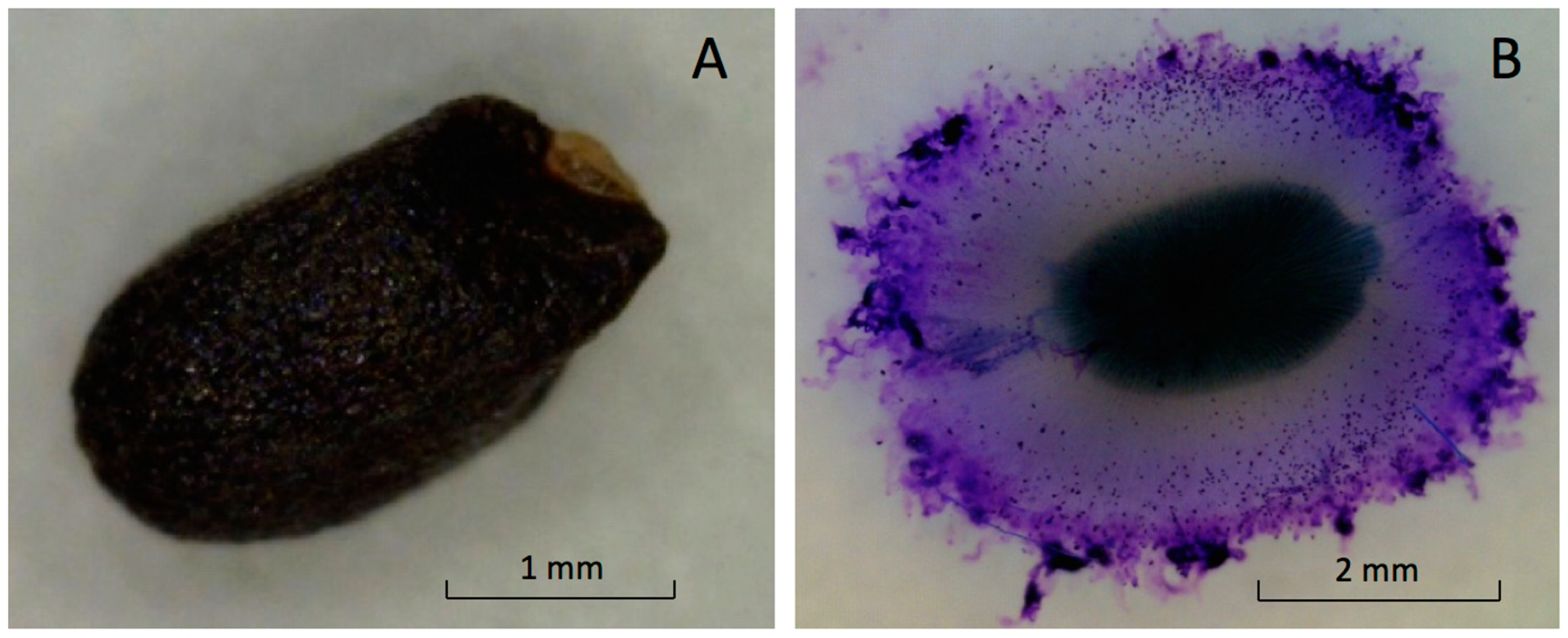 Horticulturae 08 00327 g002