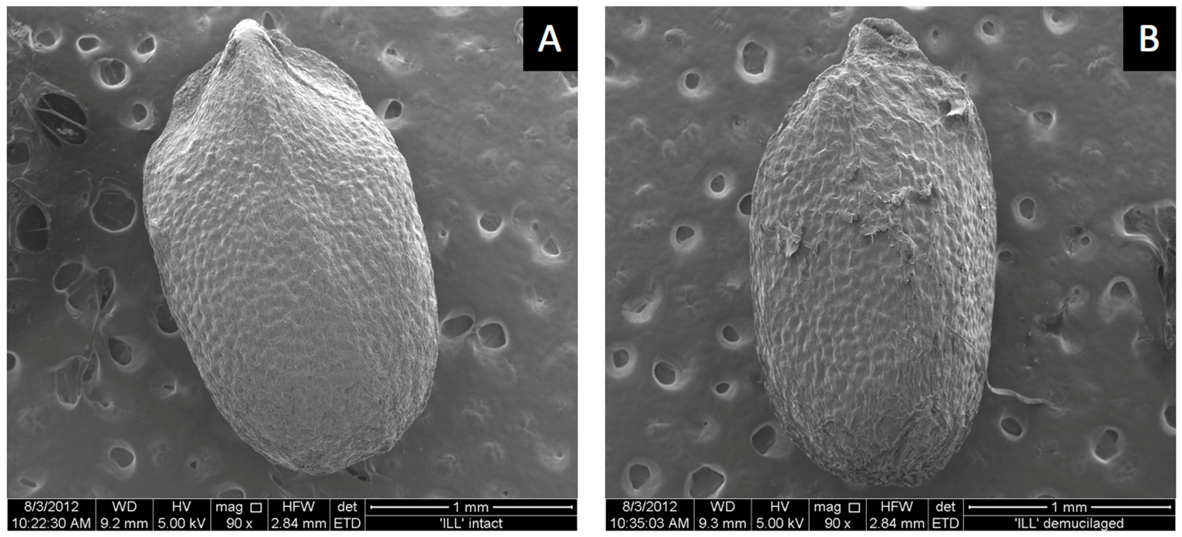 Horticulturae 08 00327 g005