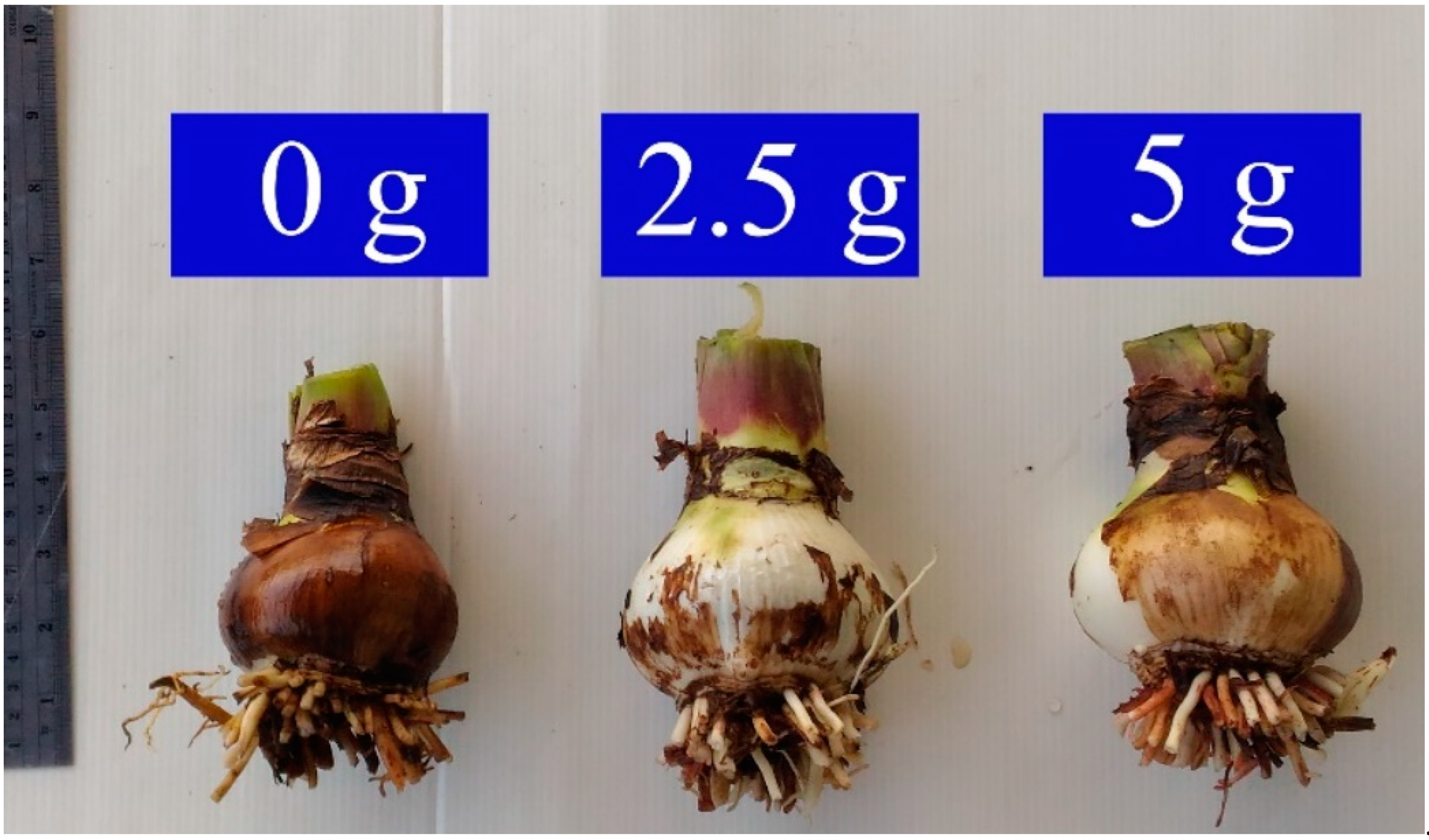 Horticulturae 08 00345 g002