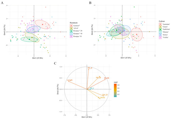 Horticulturae 08 00355 g001 550