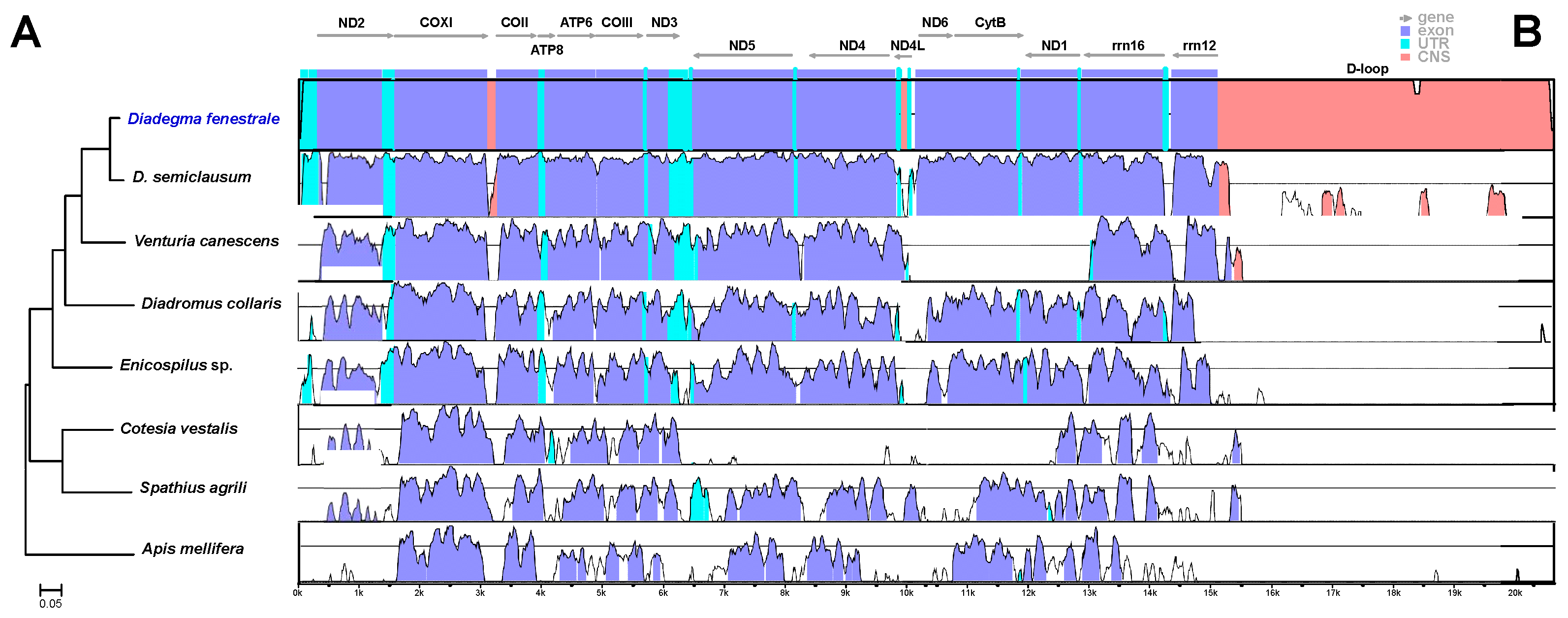 Horticulturae 08 00366 g001