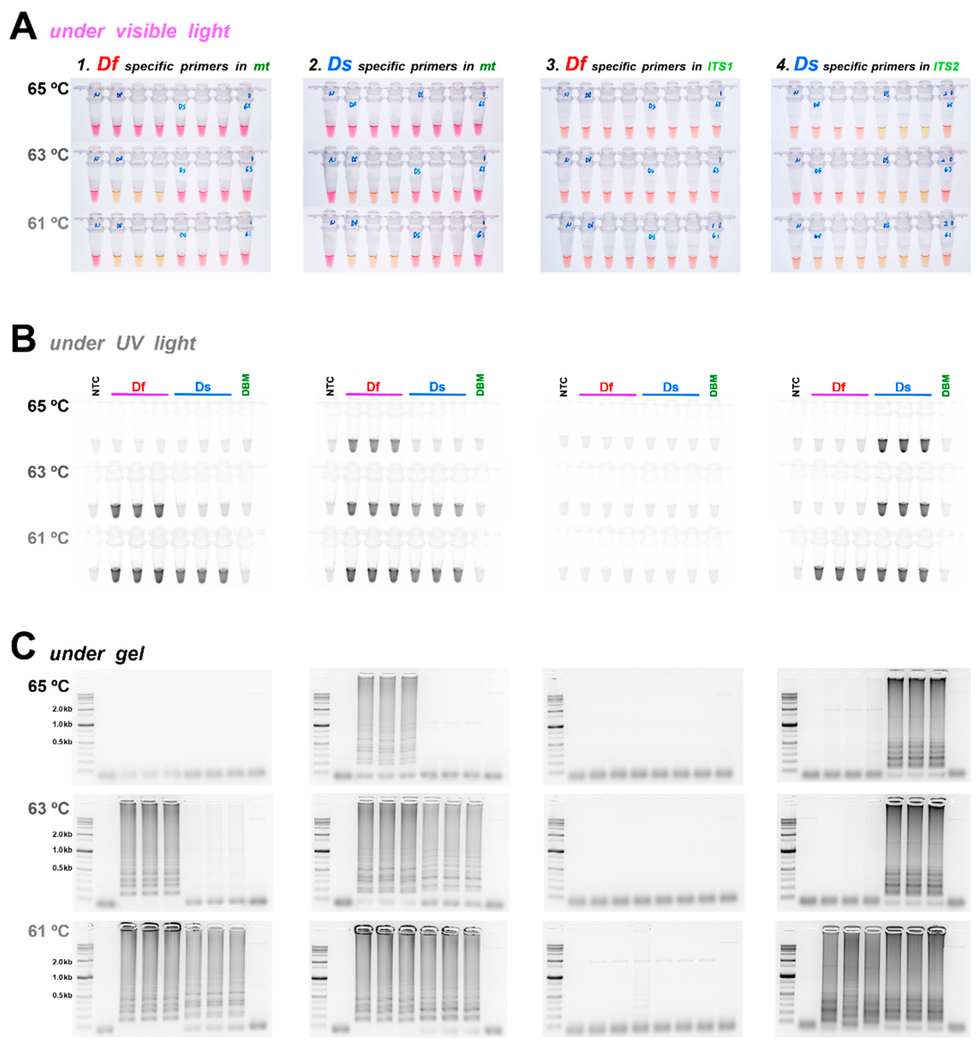 Horticulturae 08 00366 g003