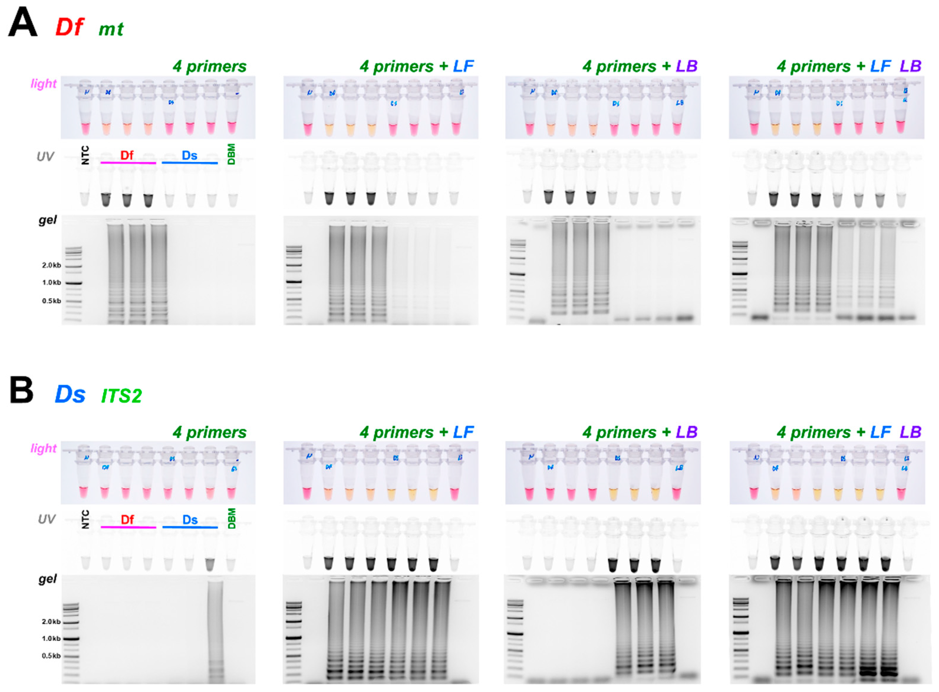 Horticulturae 08 00366 g004