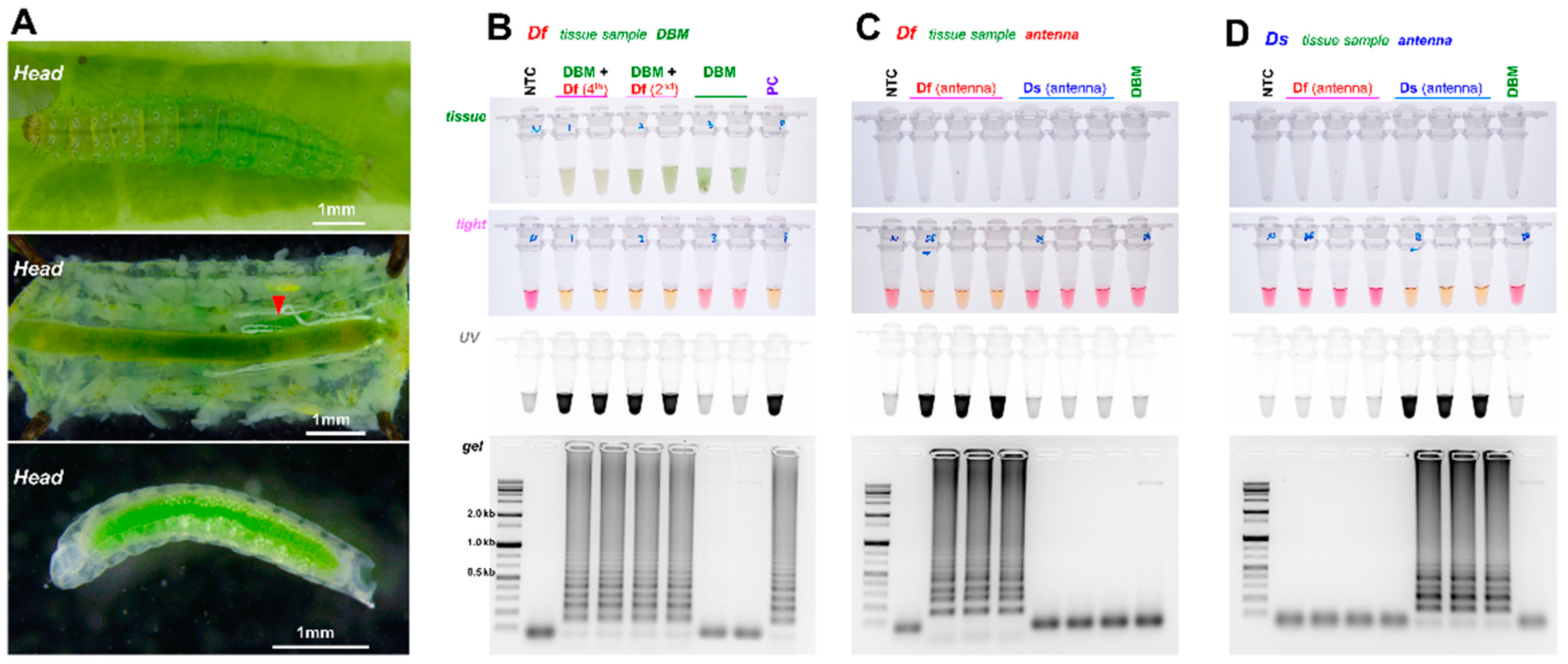 Horticulturae 08 00366 g006