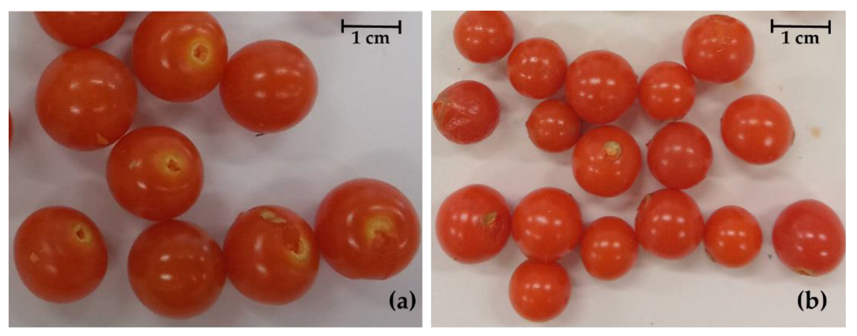 Horticulturae 08 00373 g001