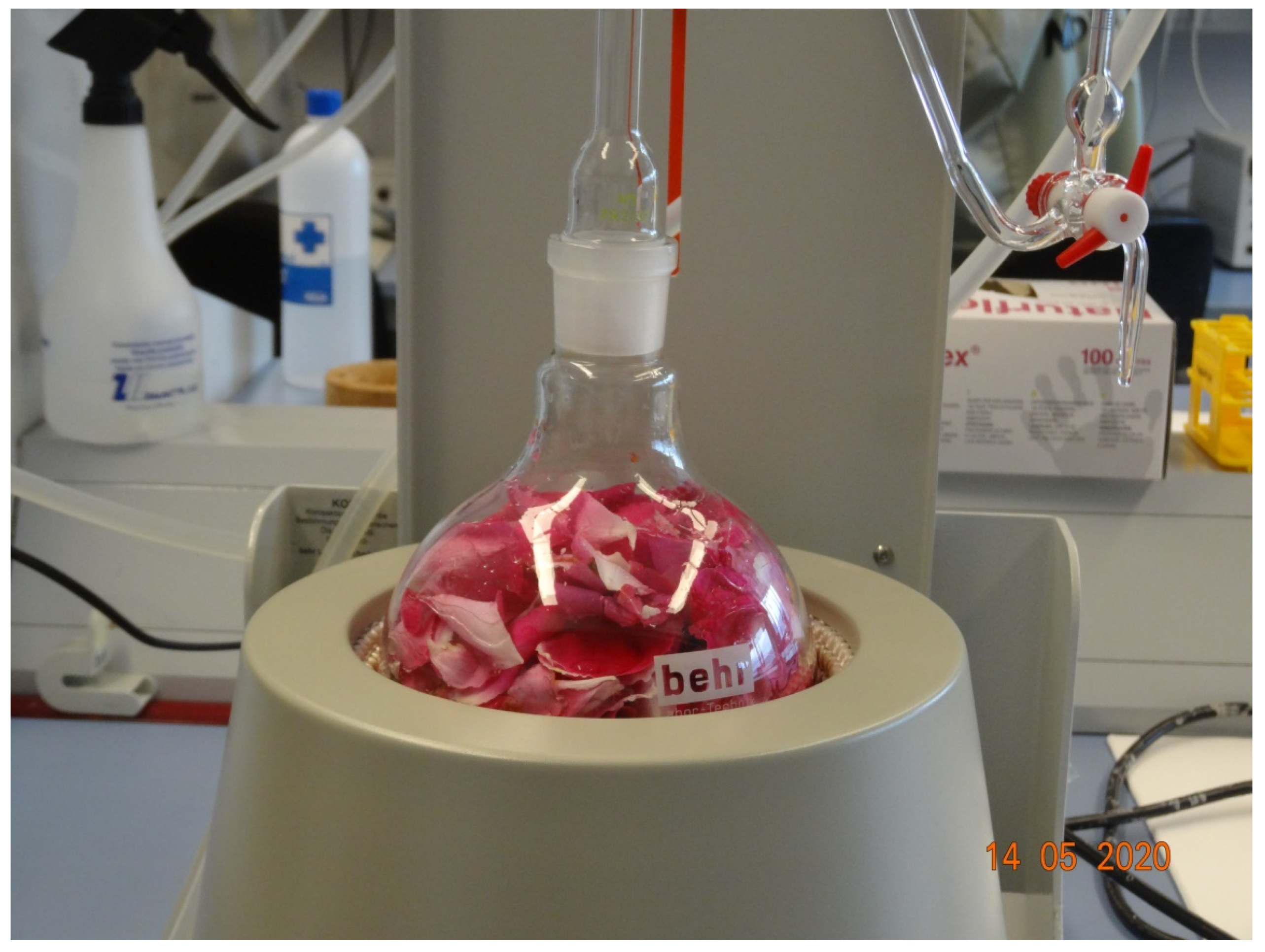 Horticulturae 08 00376 g002