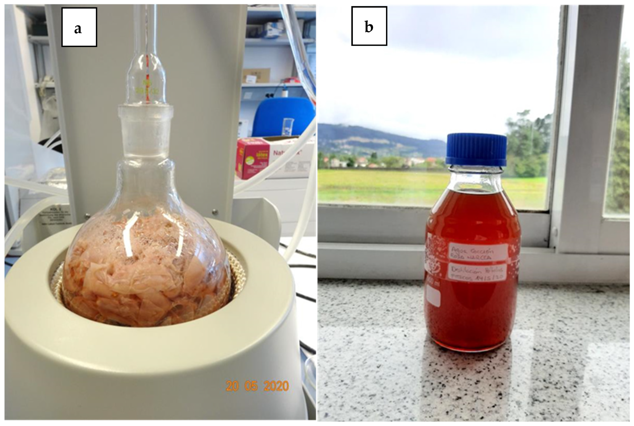 Horticulturae 08 00376 g003