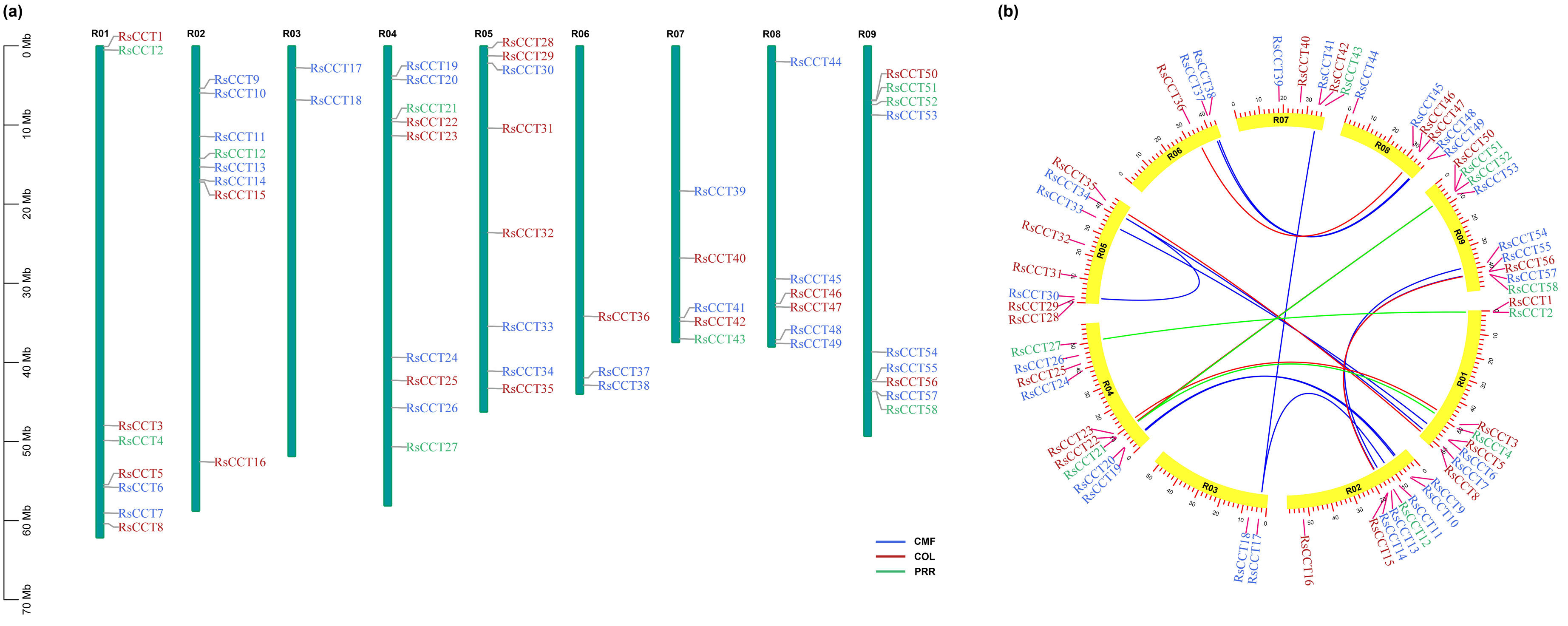 Horticulturae 08 00381 g001