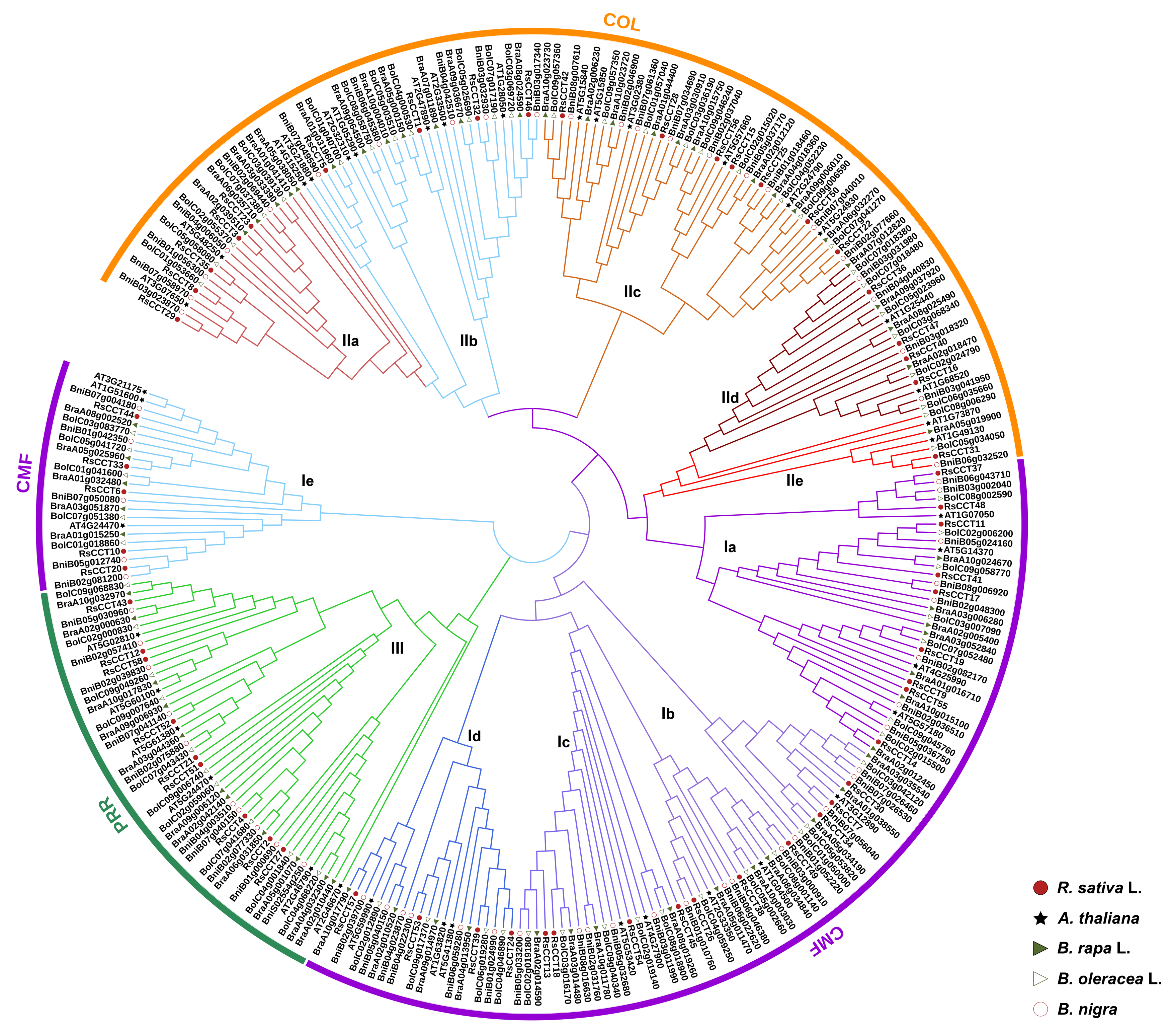 Horticulturae 08 00381 g002