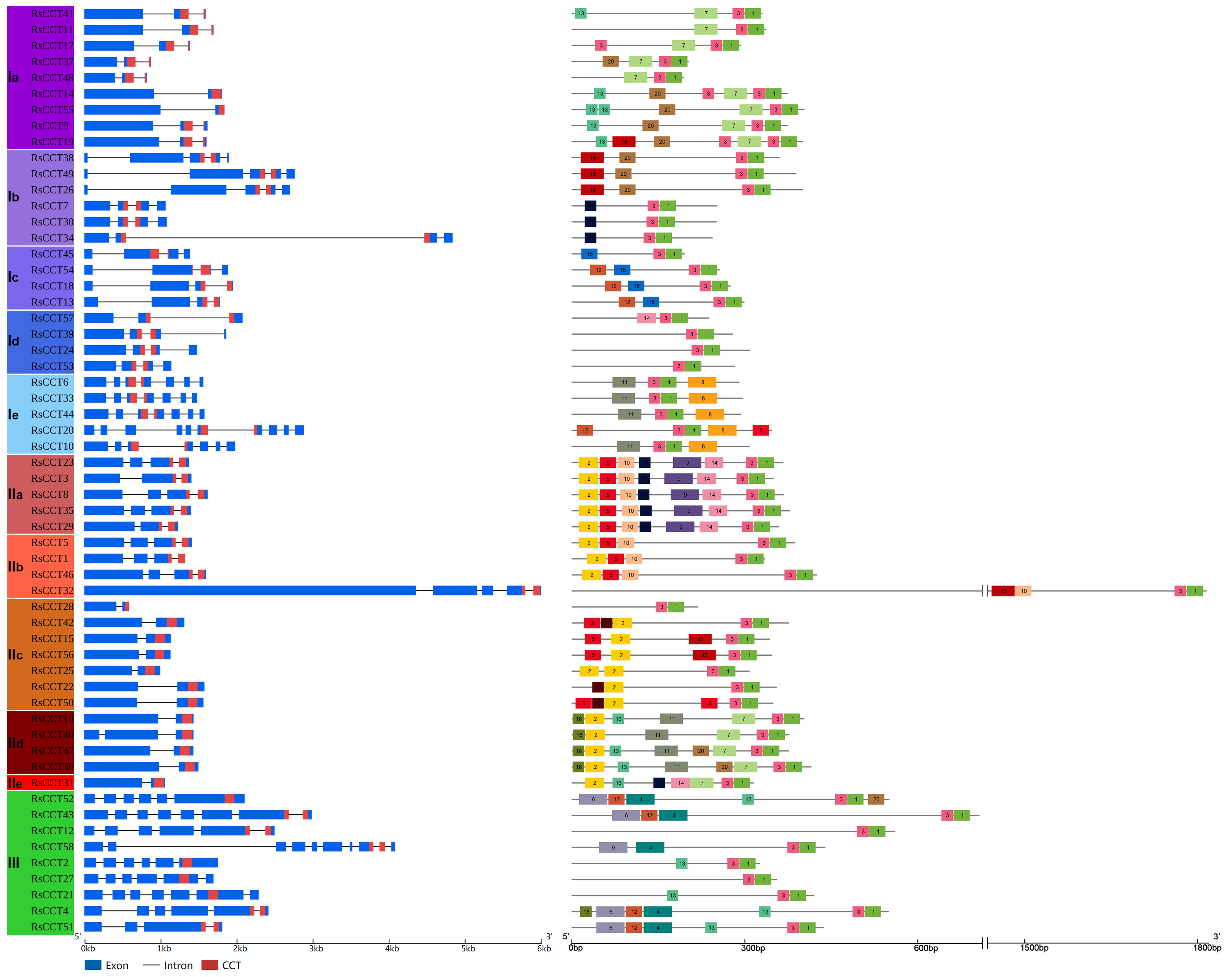 Horticulturae 08 00381 g003