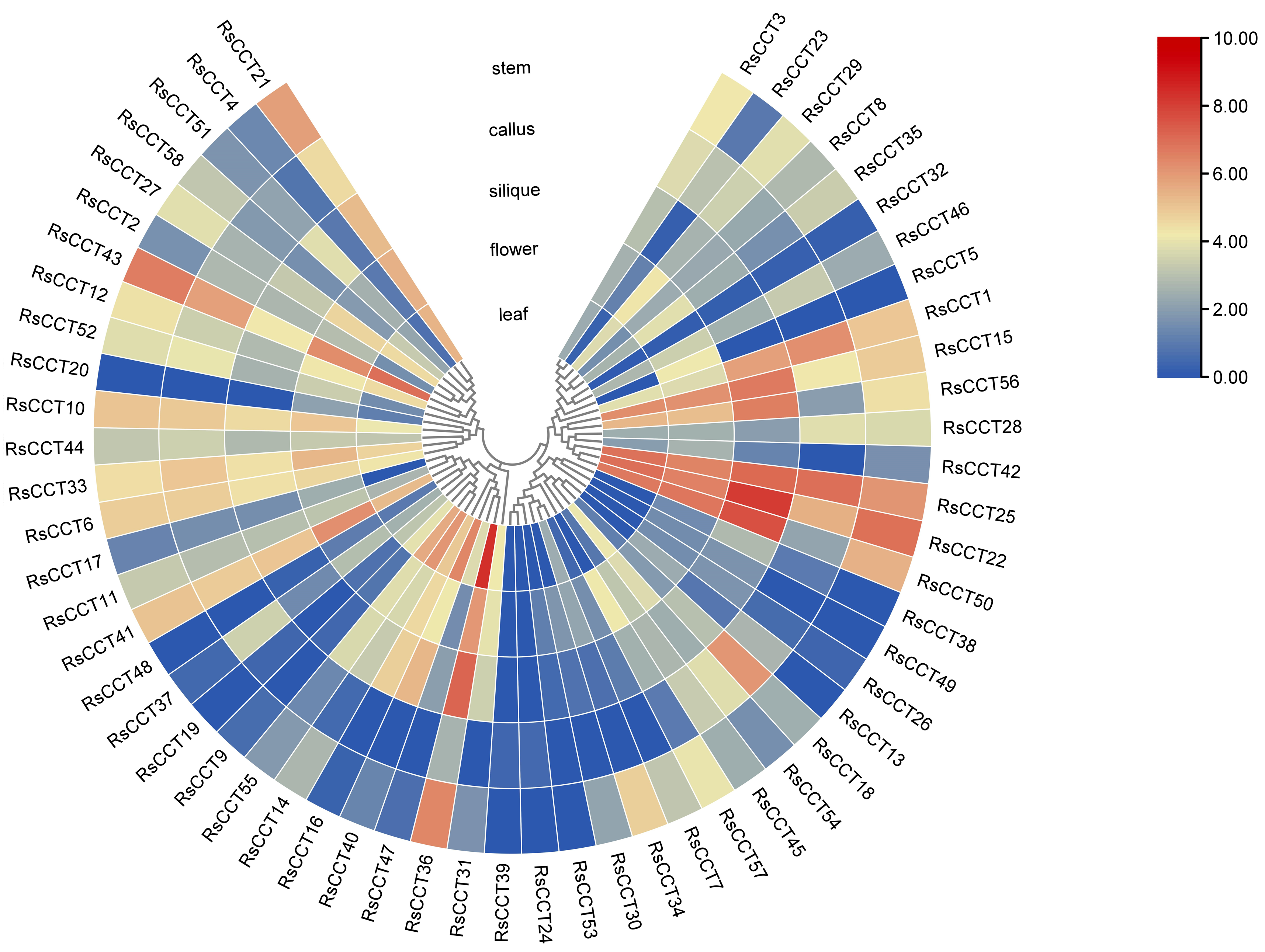 Horticulturae 08 00381 g006