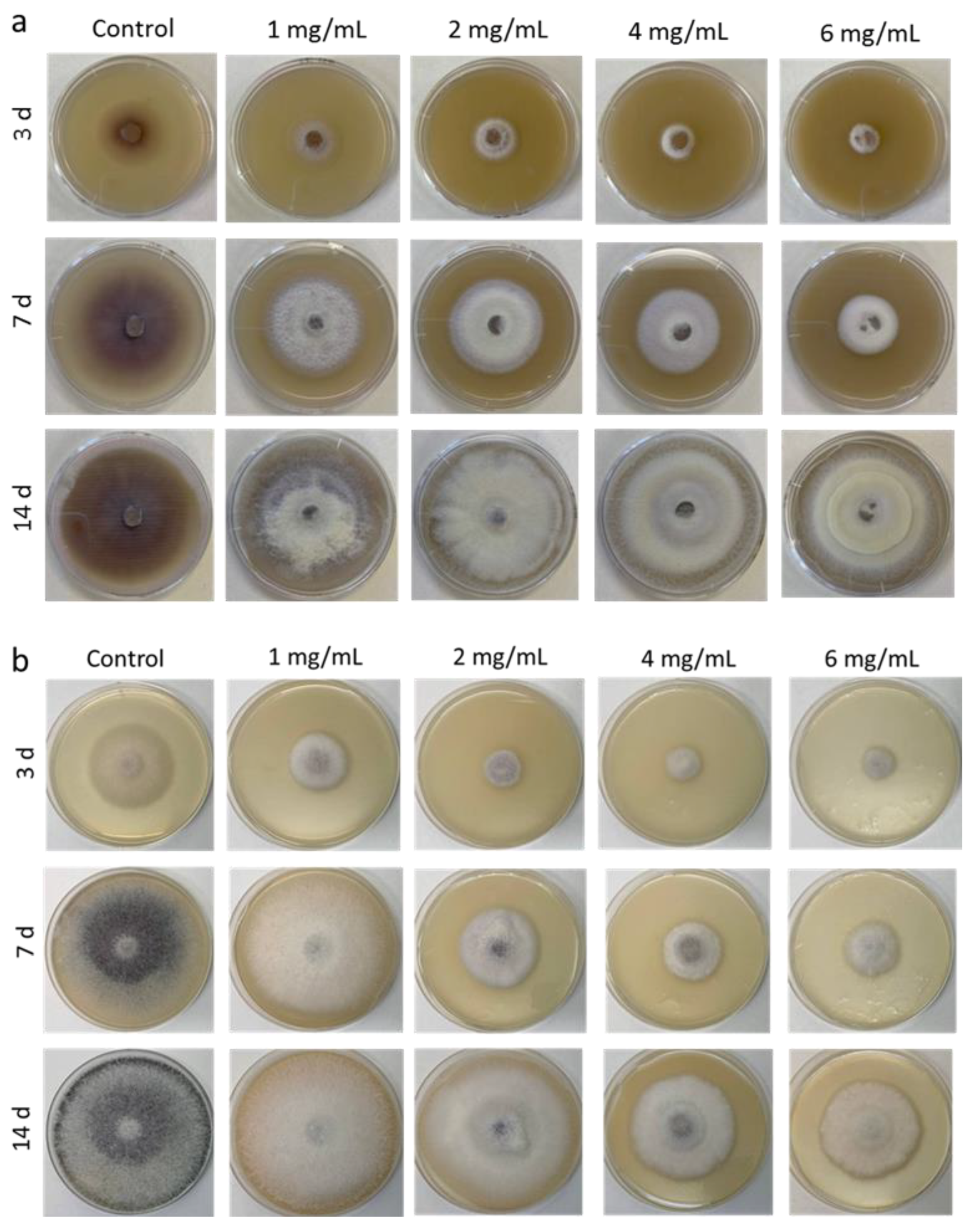 Horticulturae 08 00383 g002