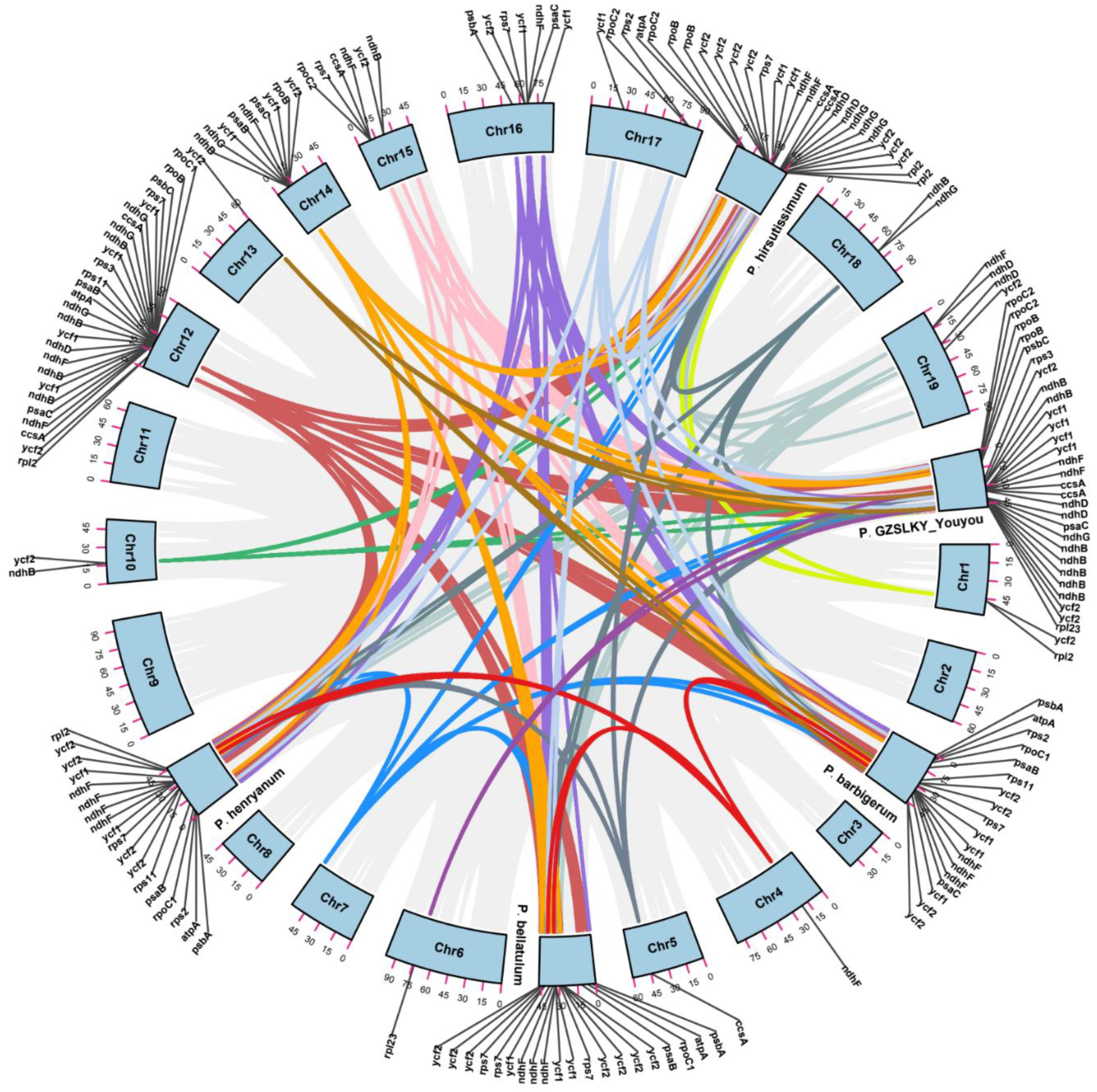 Horticulturae 08 00391 g005 Horticulturae 08 00391 g005