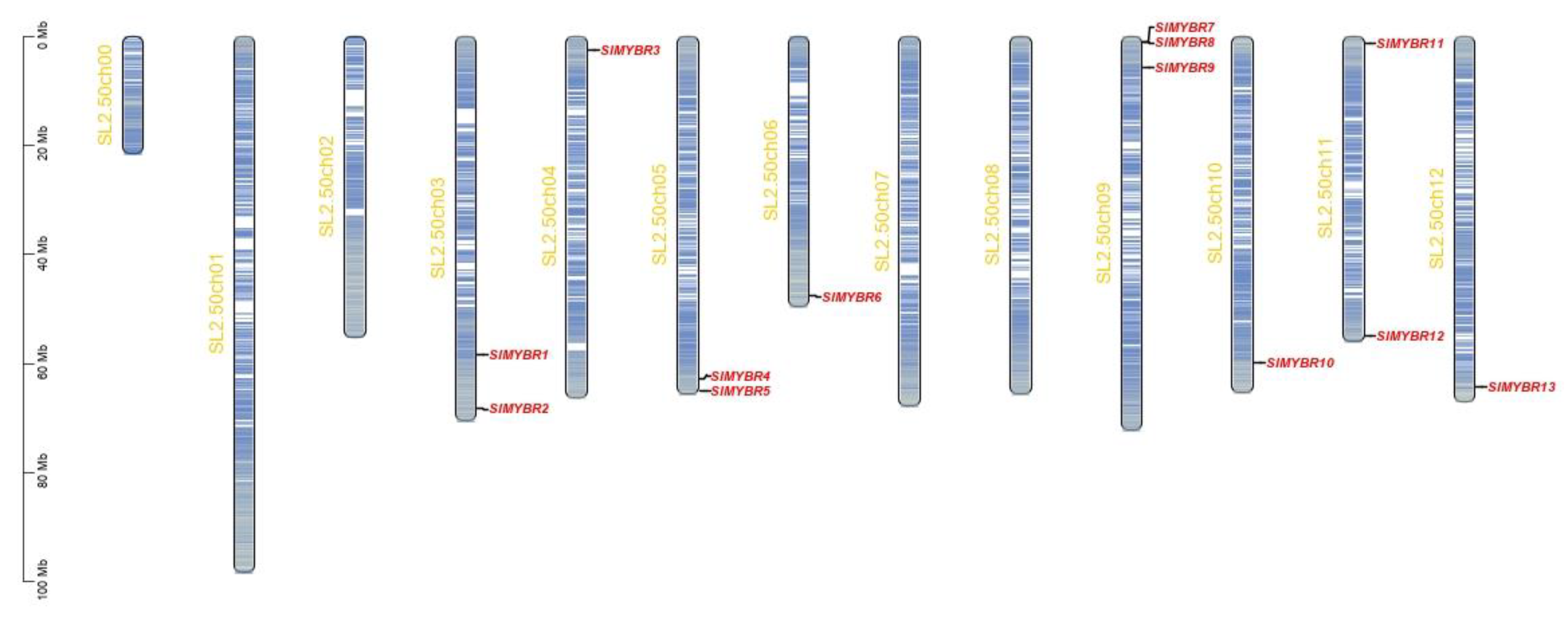 Horticulturae 08 00399 g001