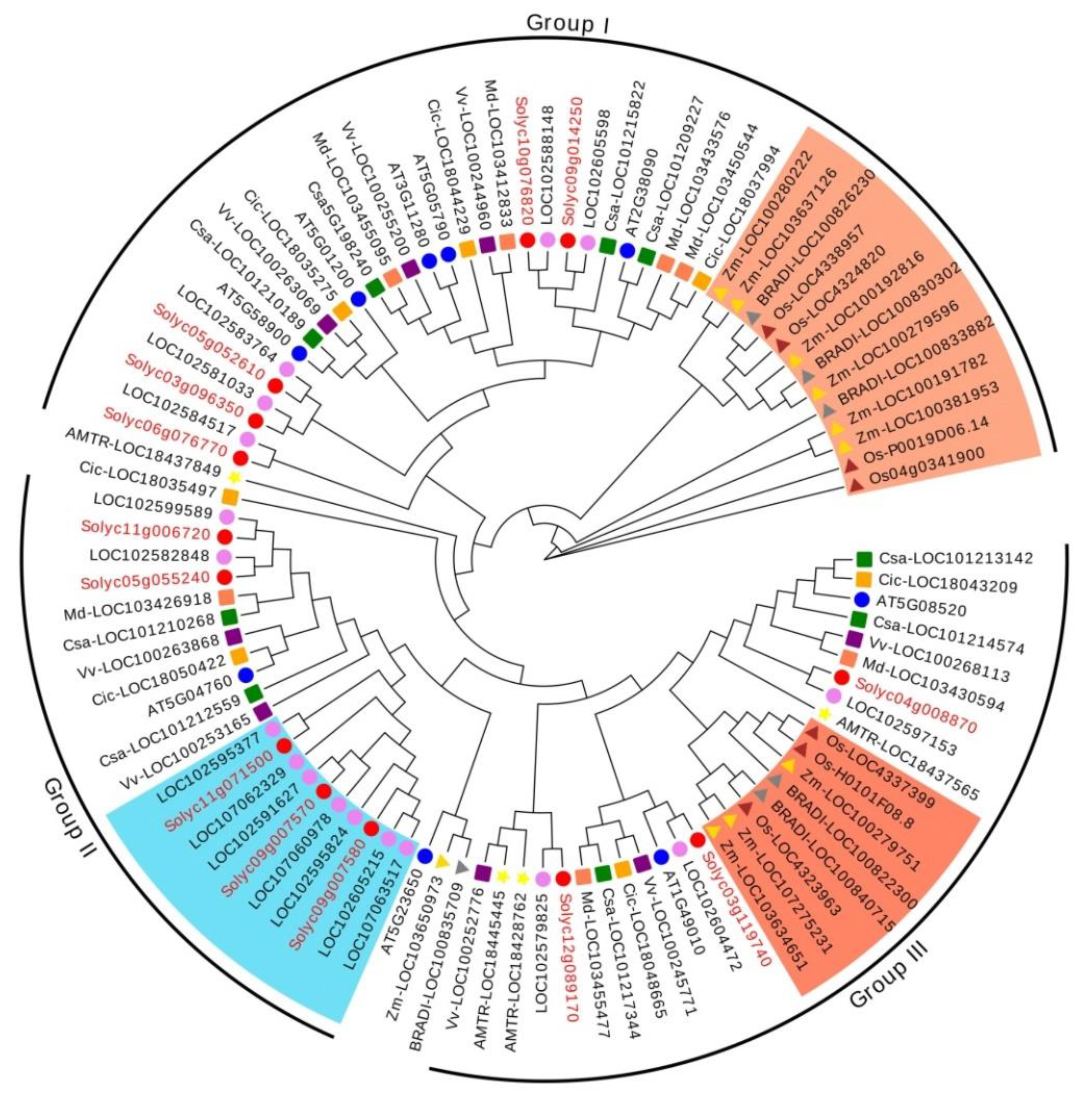 Horticulturae 08 00399 g002