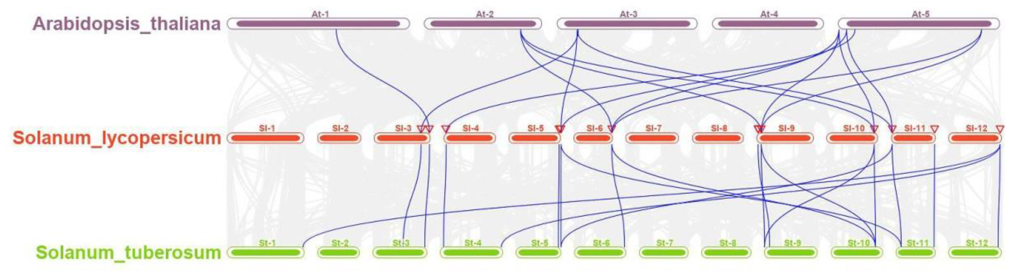 Horticulturae 08 00399 g003