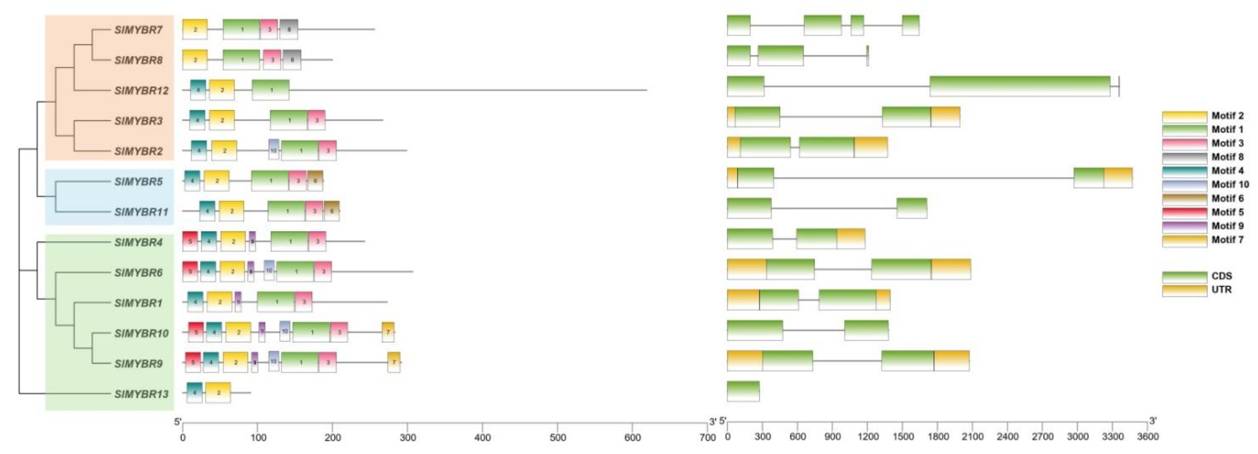 Horticulturae 08 00399 g004