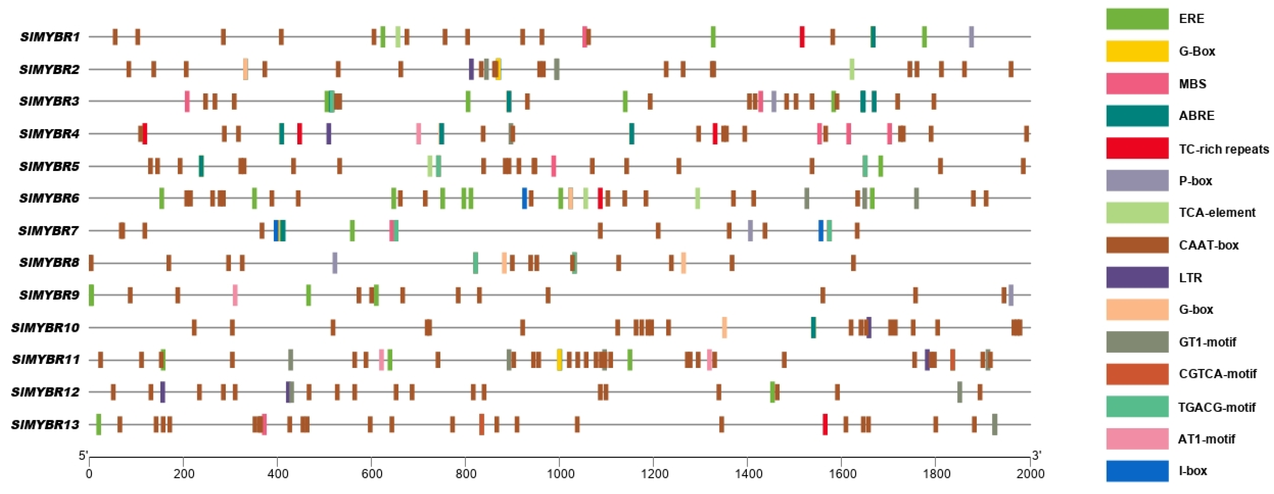 Horticulturae 08 00399 g007