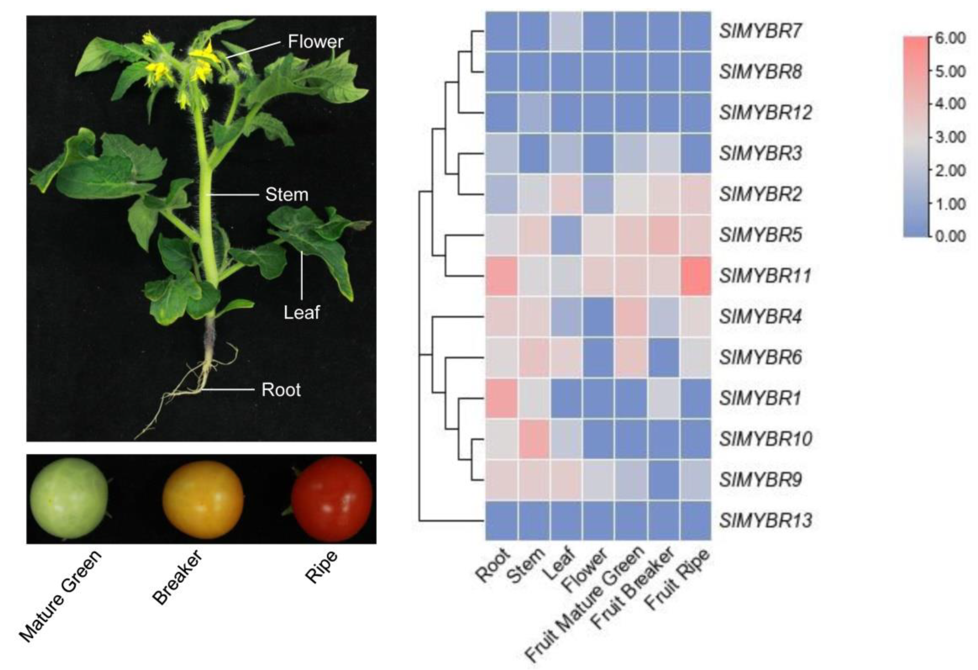 Horticulturae 08 00399 g008