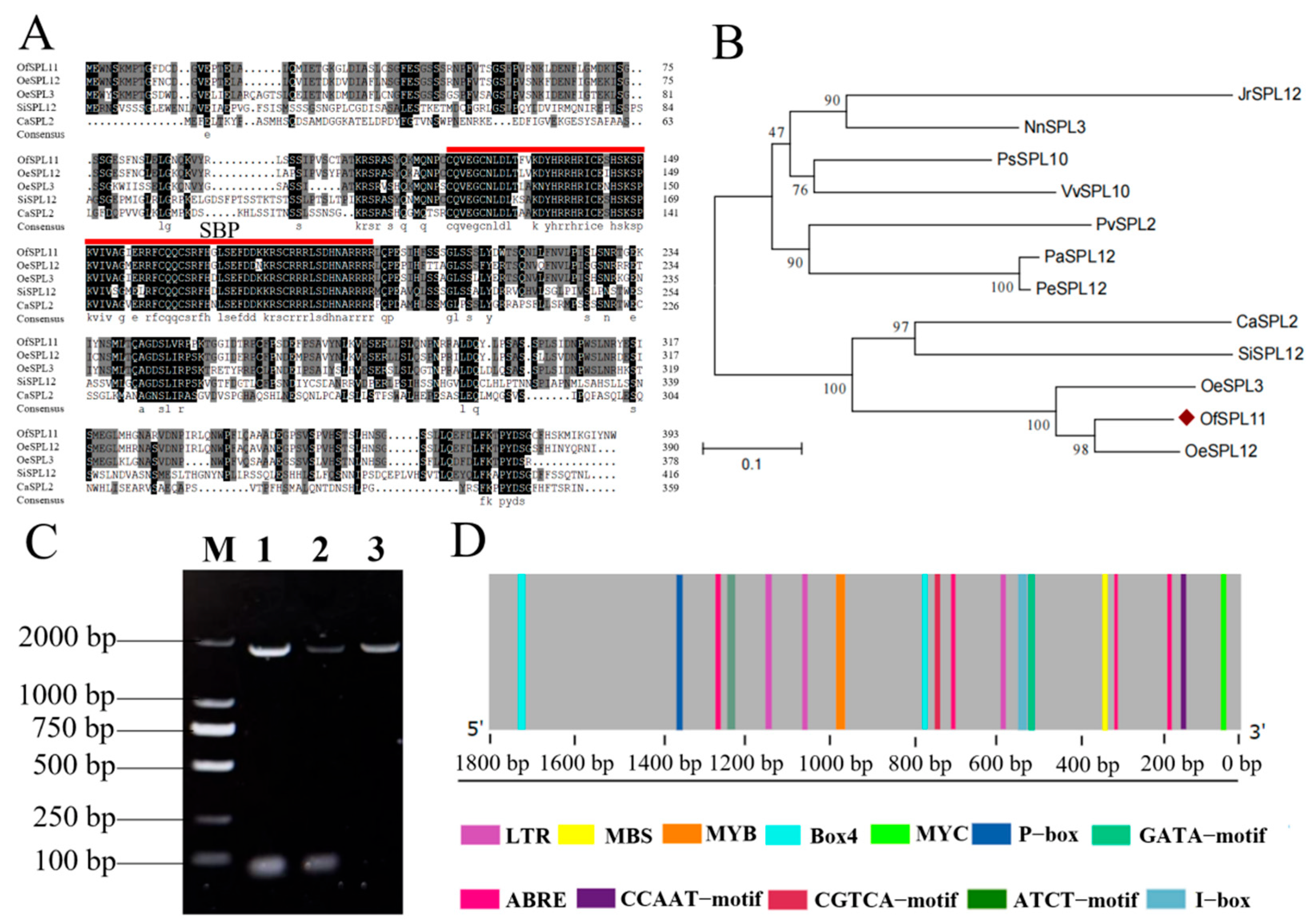 Horticulturae 08 00412 g002