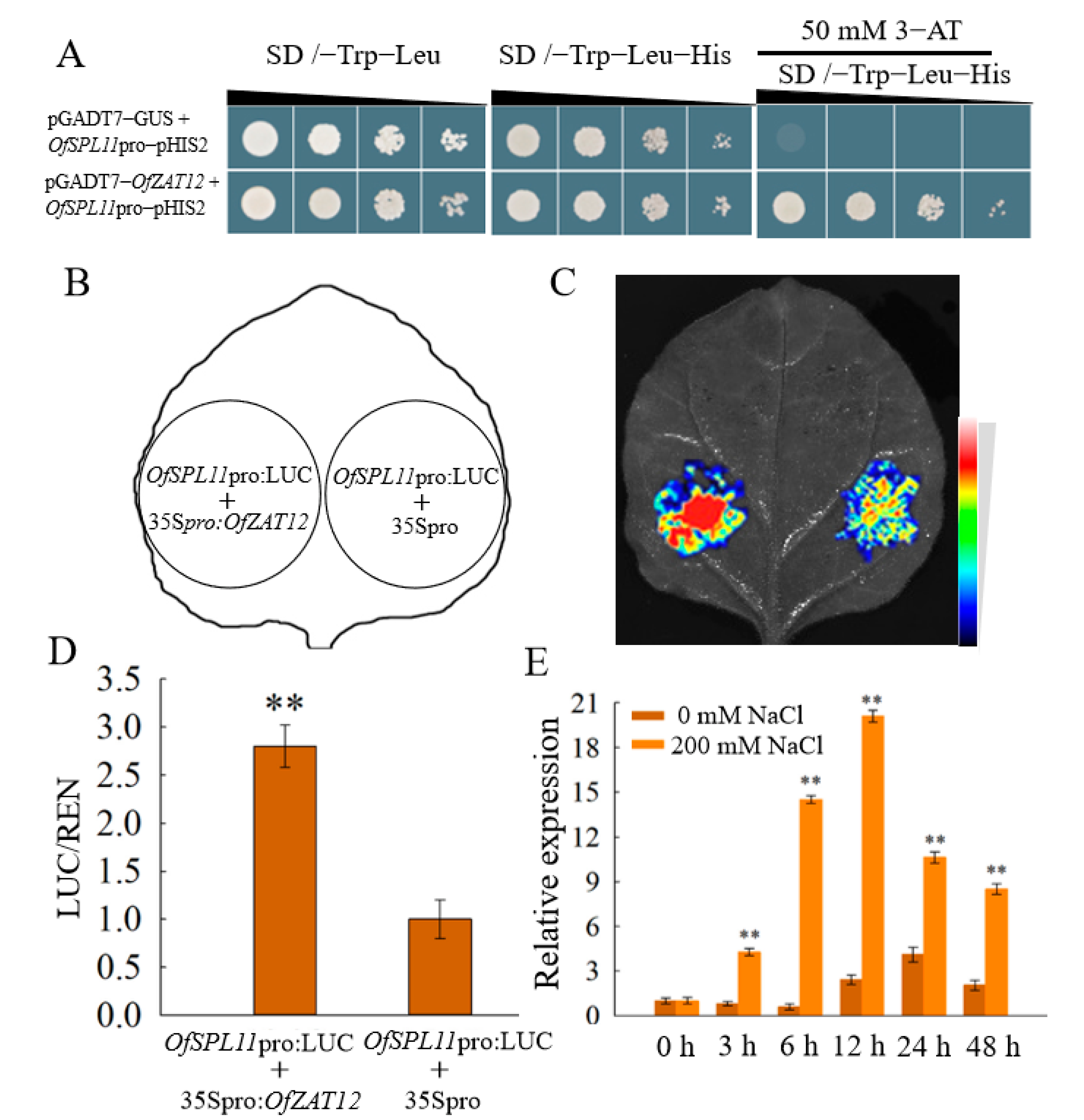 Horticulturae 08 00412 g009