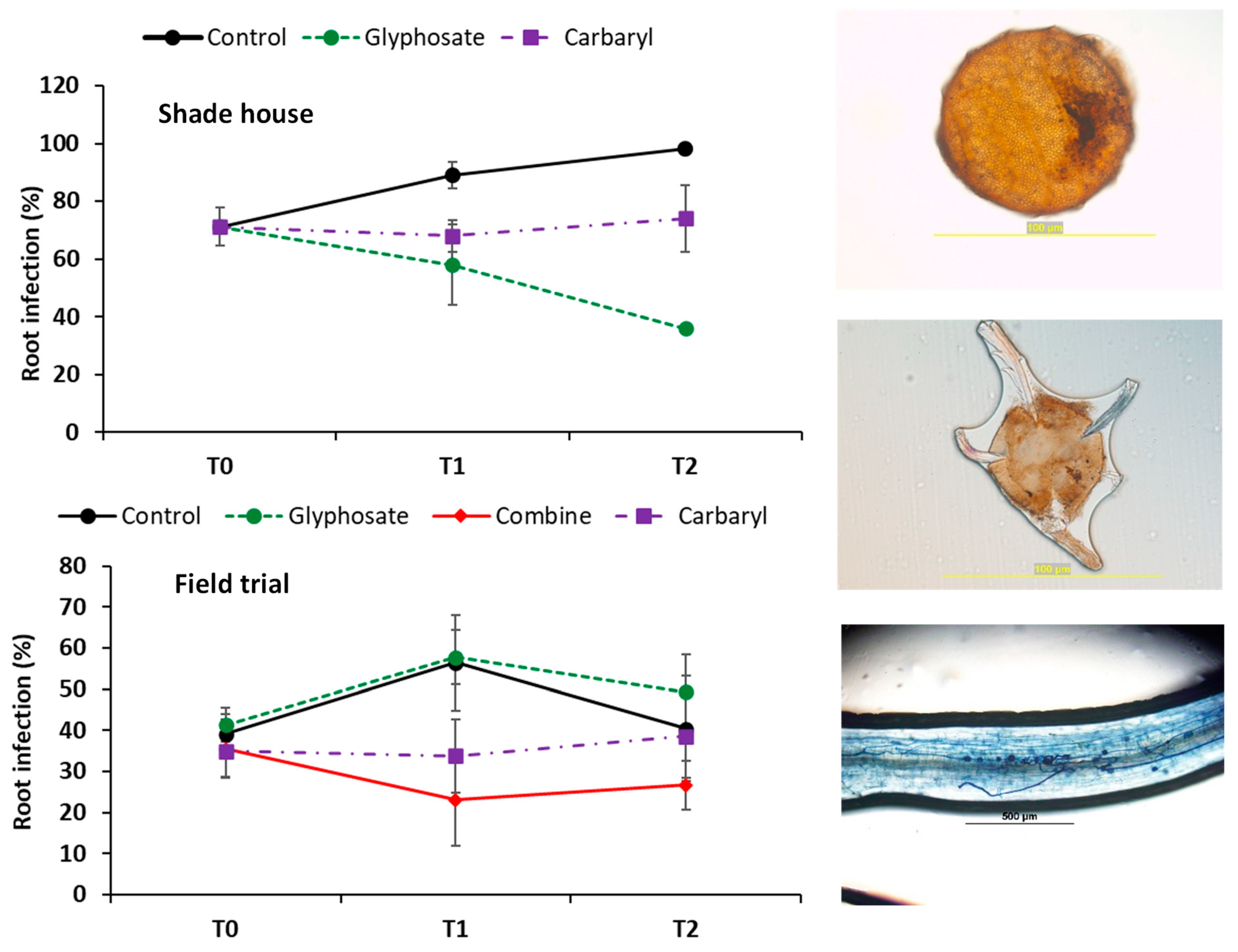 Horticulturae 08 00415 g003