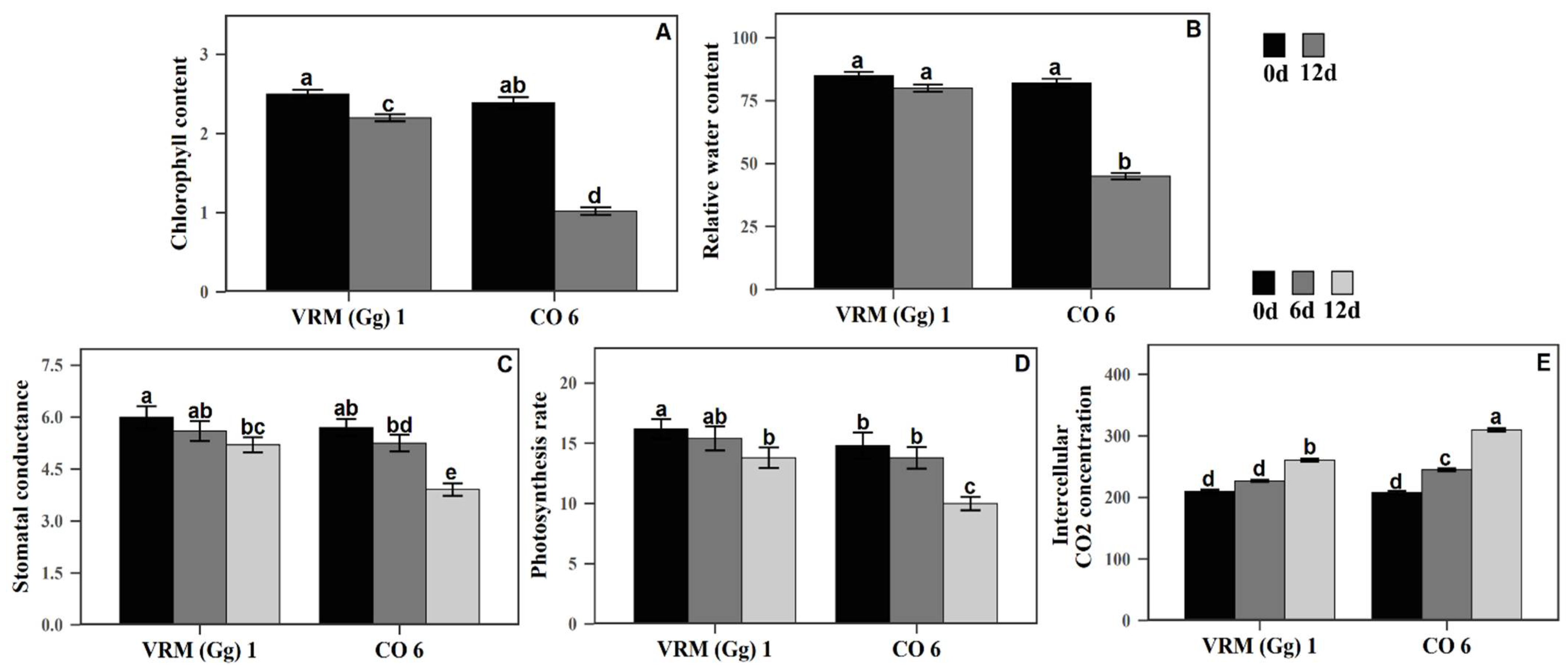Horticulturae 08 00424 g001