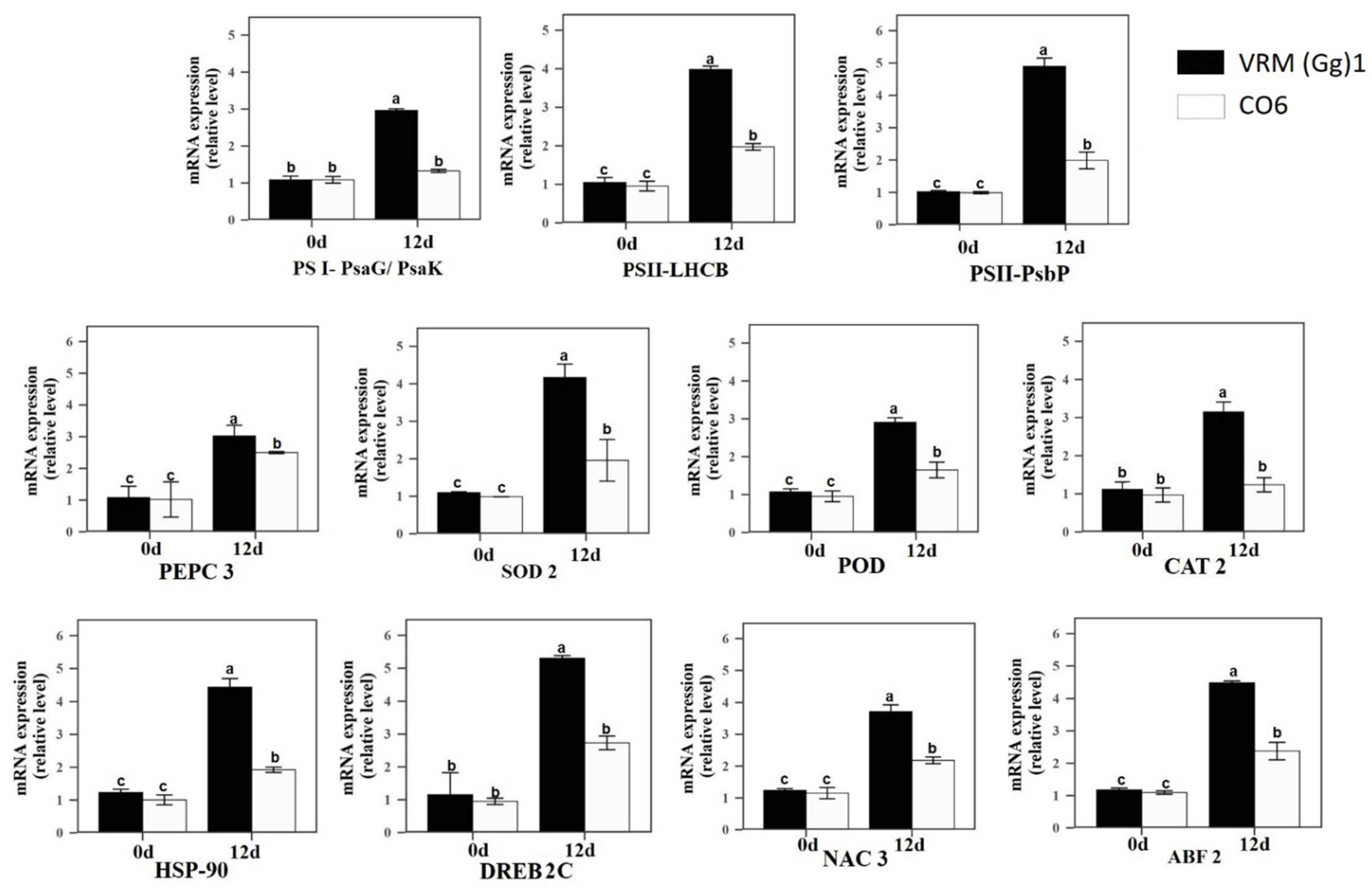 Horticulturae 08 00424 g004