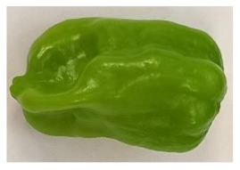 Horticulturae 08 00428 i003