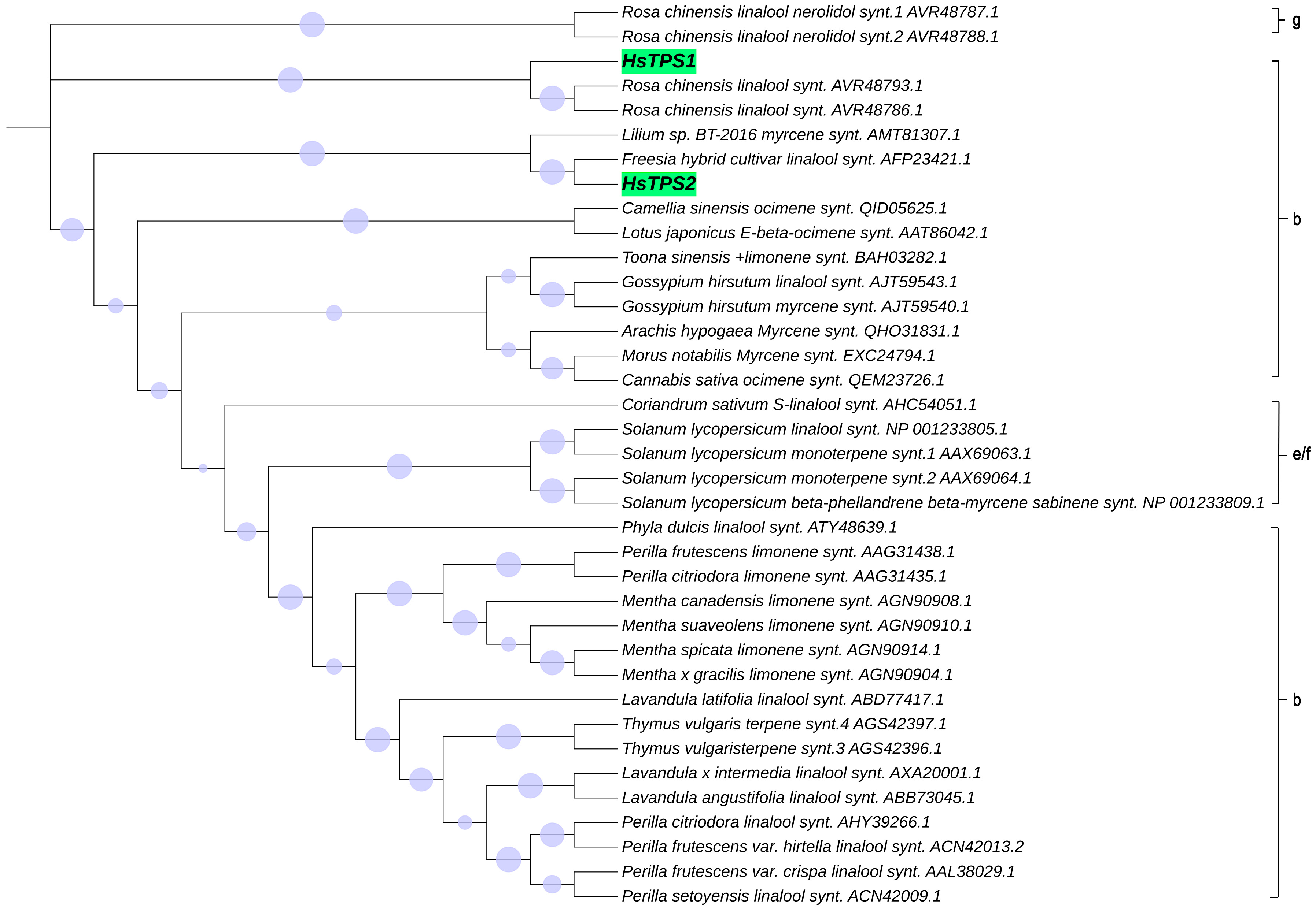 Horticulturae 08 00447 g002